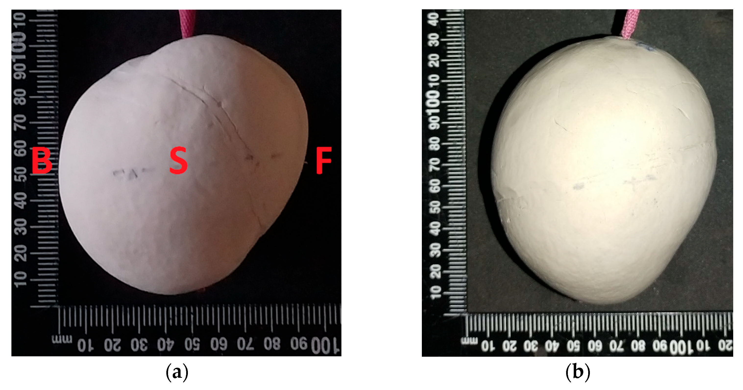 Sustainability 15 06769 g002a Sustainability 15 06769 g002a