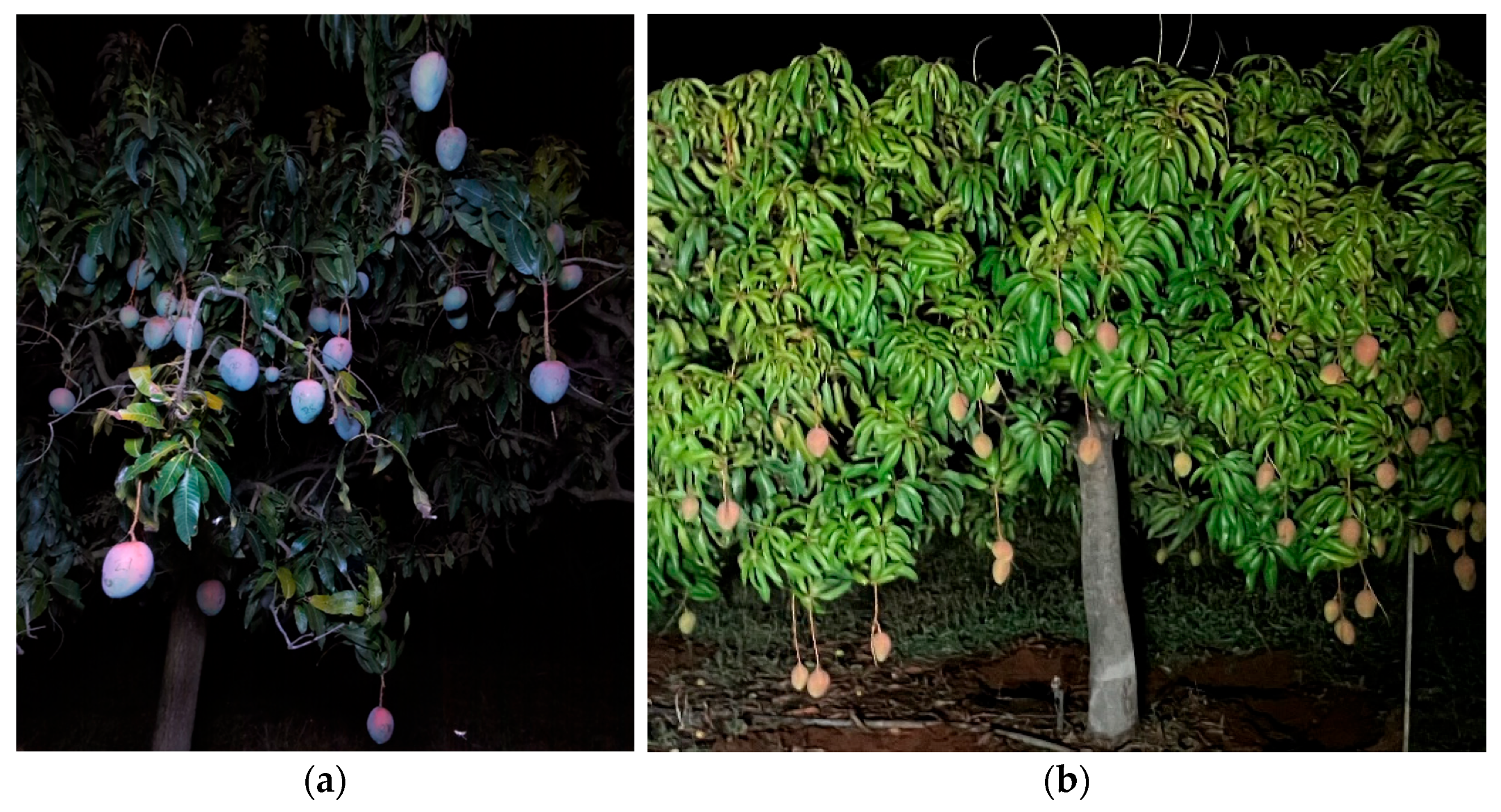 Sustainability 15 06769 g004 Sustainability 15 06769 g004