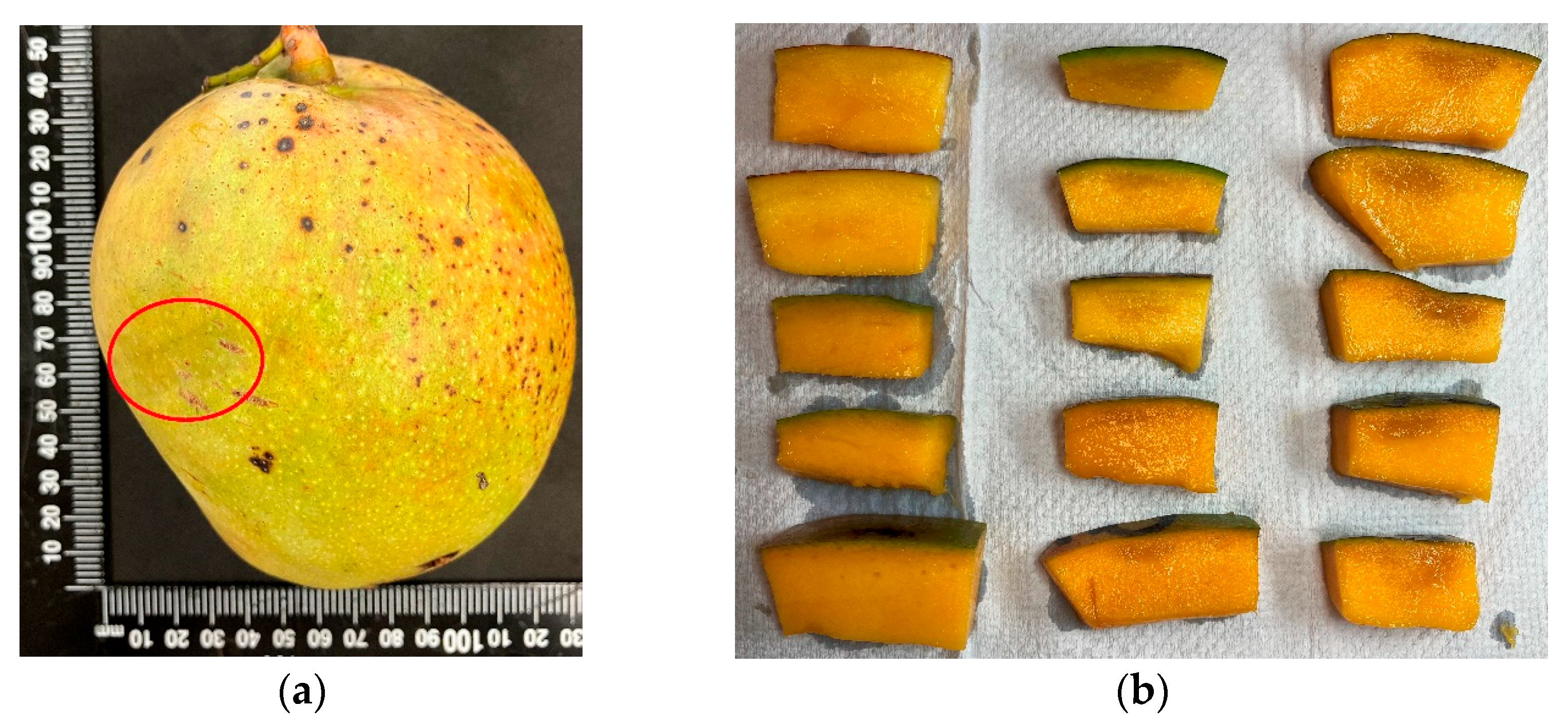 Sustainability 15 06769 g010 Sustainability 15 06769 g010
