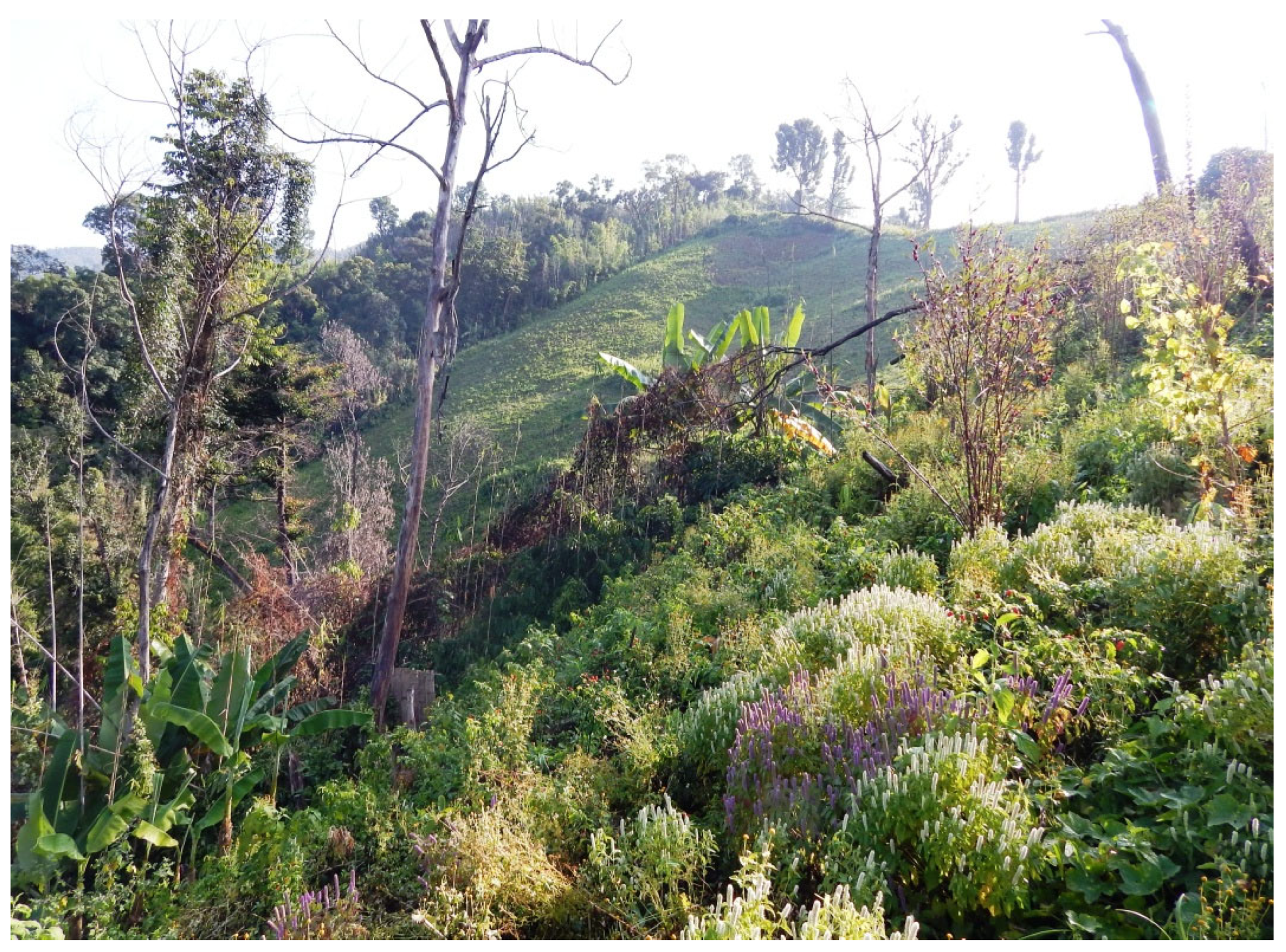 Sustainability 15 06791 g002