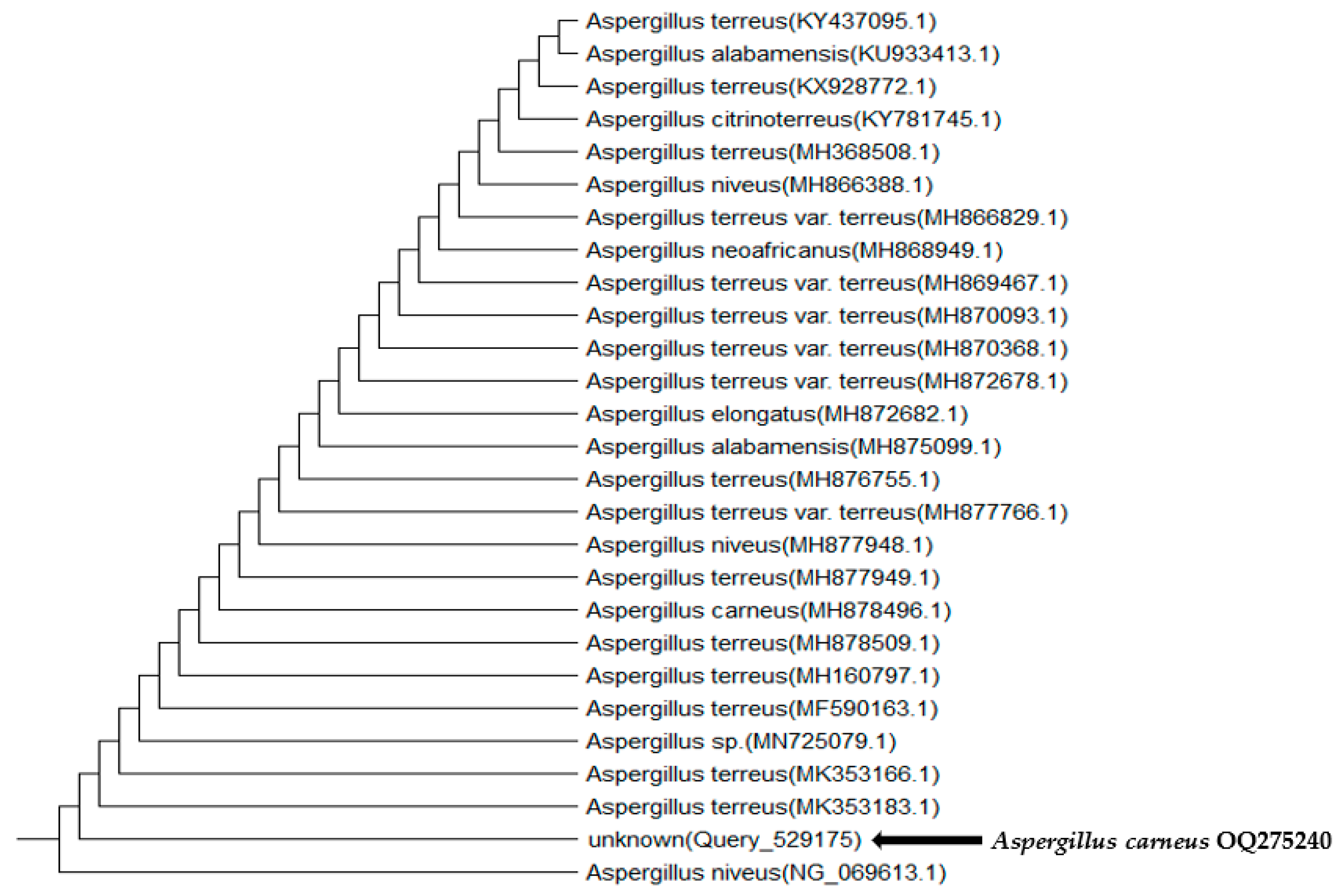 Sustainability 15 06836 g001 Sustainability 15 06836 g001