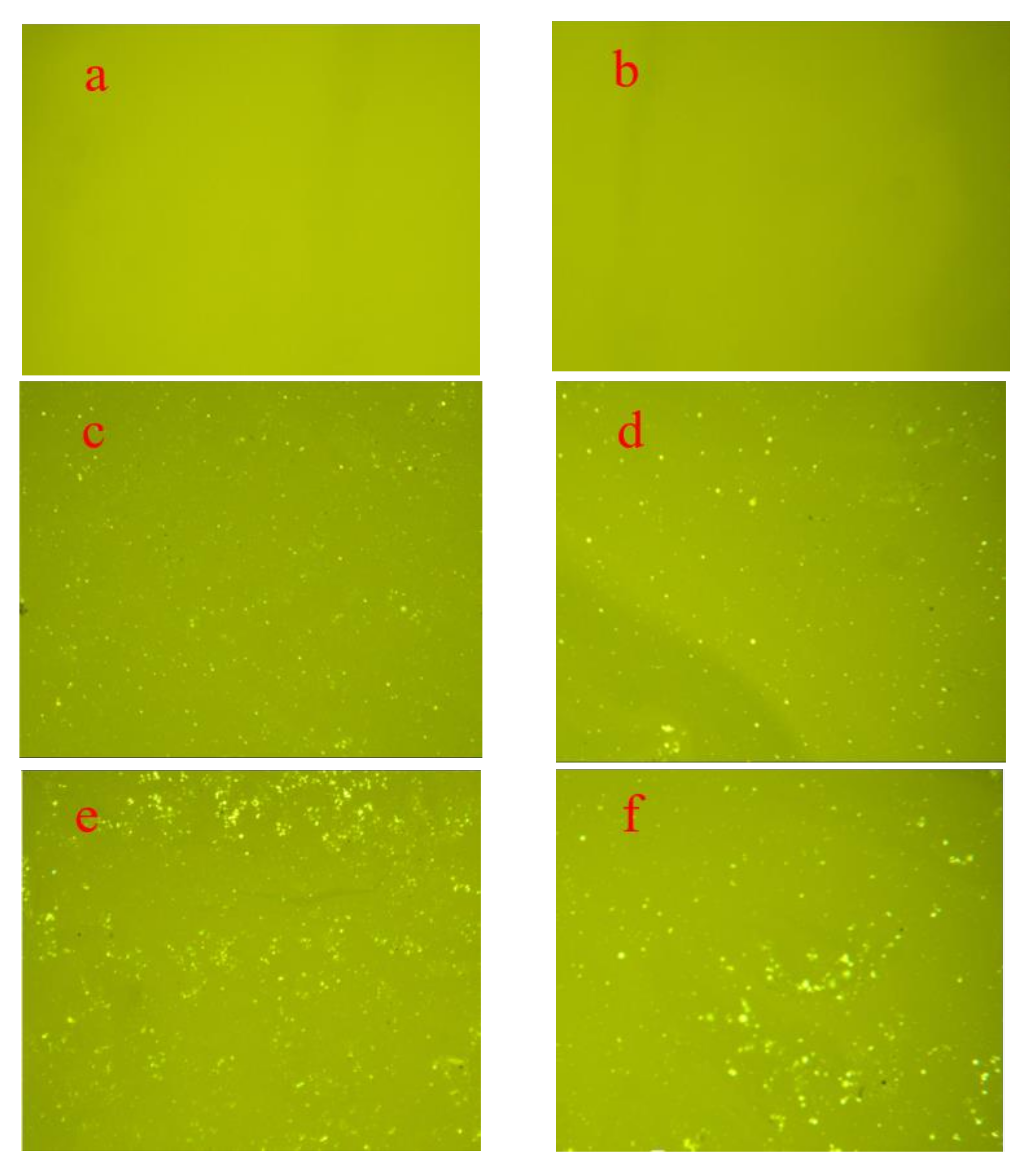 Sustainability 15 06889 g002a Sustainability 15 06889 g002a