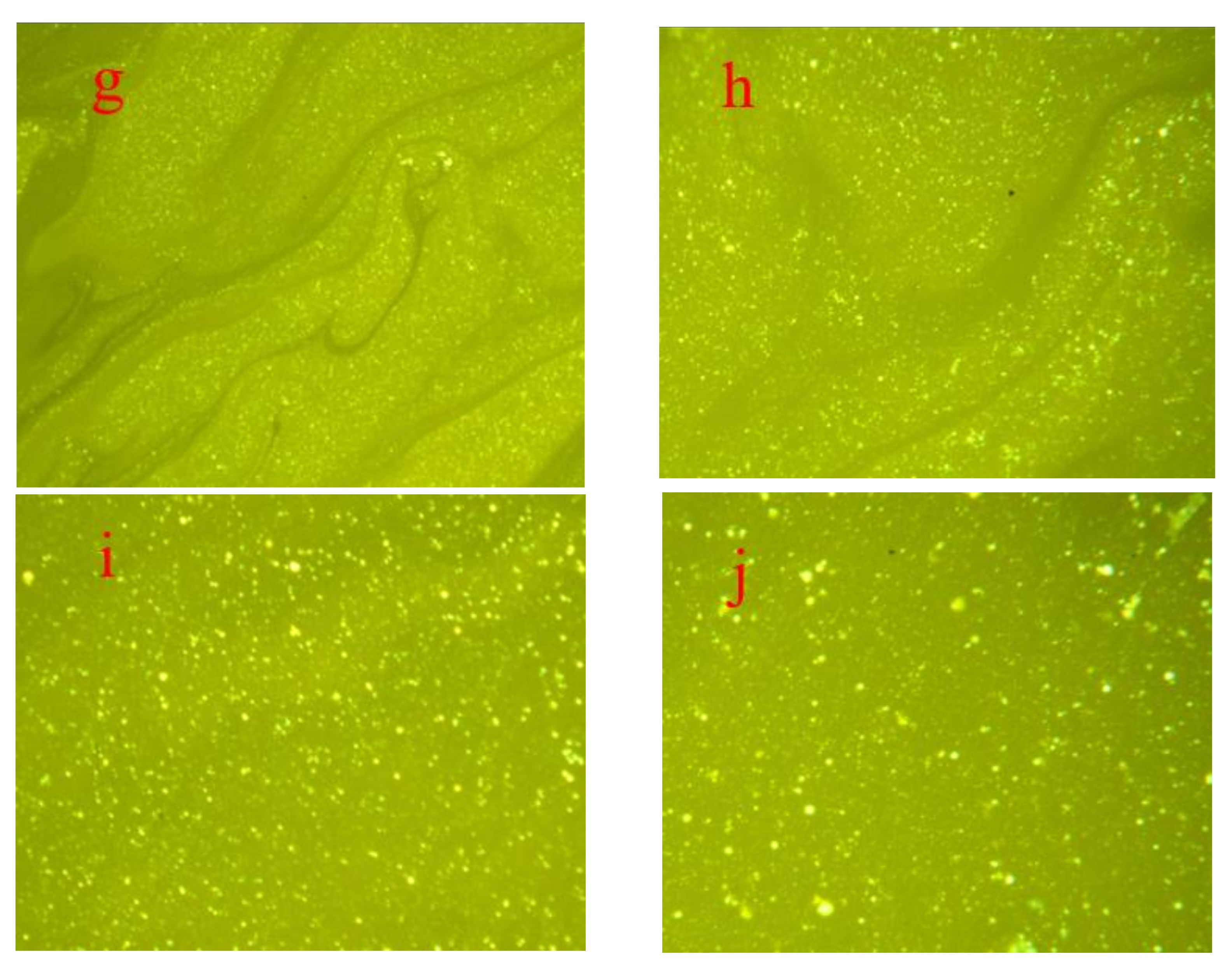 Sustainability 15 06889 g002b Sustainability 15 06889 g002b