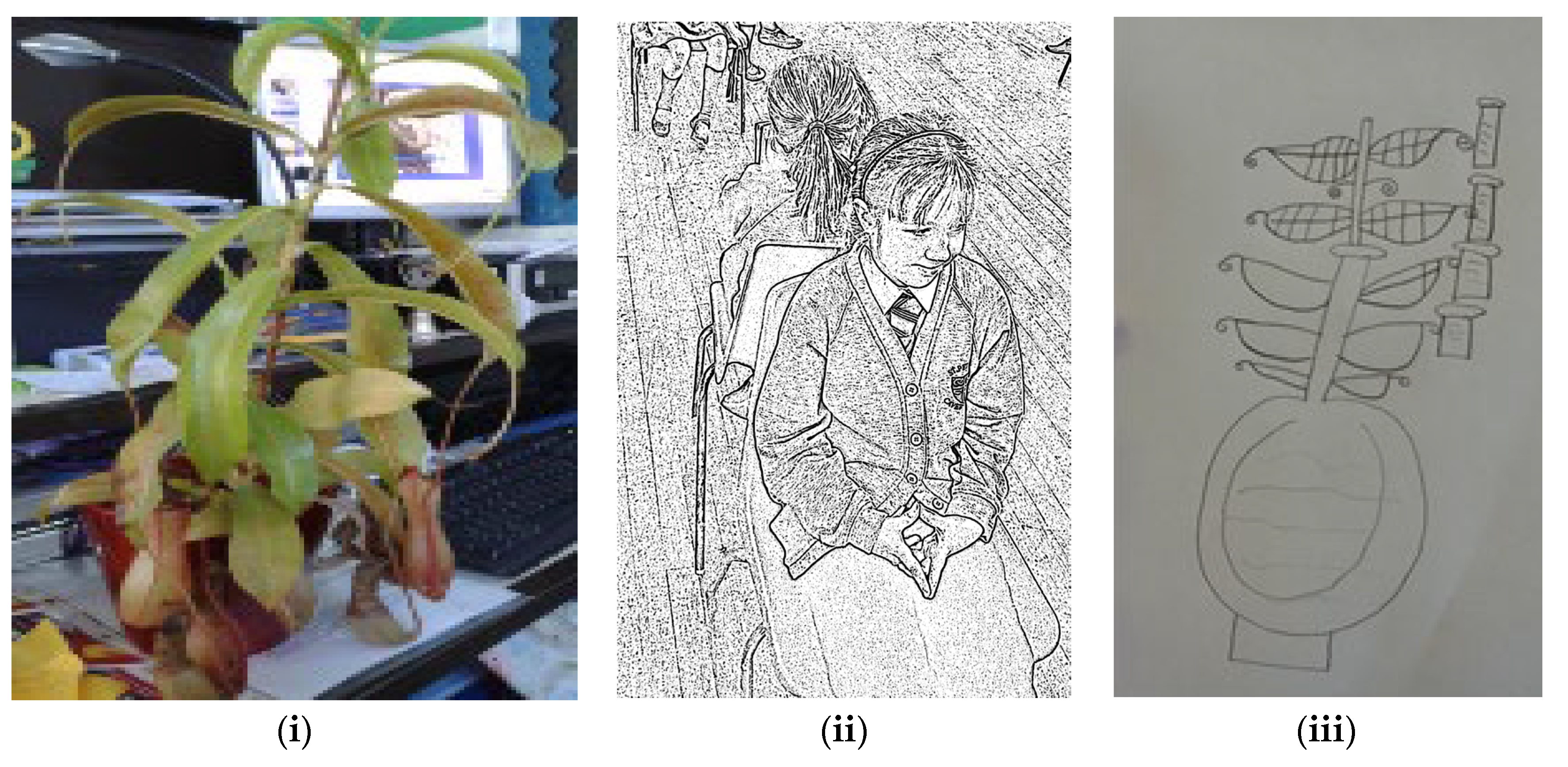 Sustainability 15 06895 g002