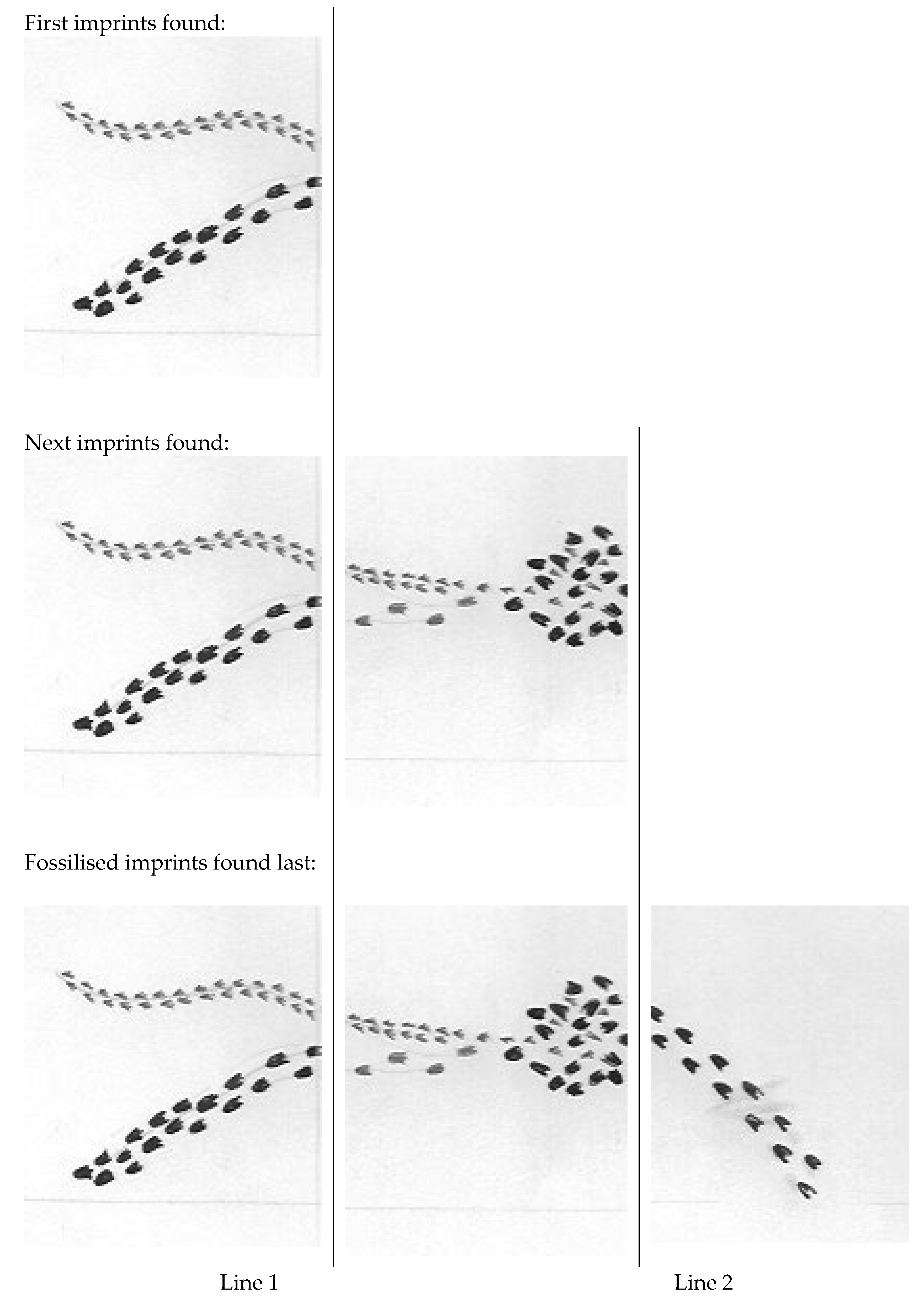 Sustainability 15 06895 g003