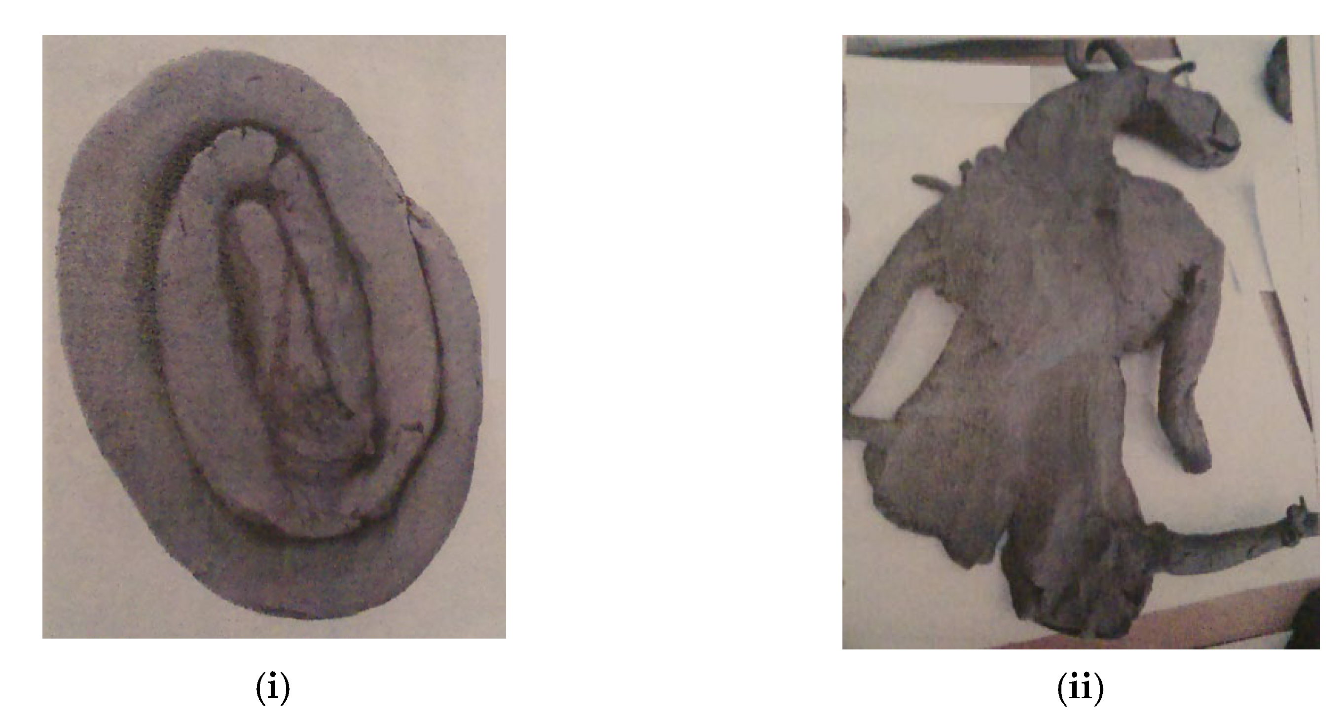 Sustainability 15 06895 g006