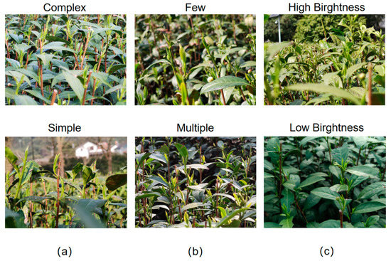Locating Tea Bud Keypoints by Keypoint Detection Method Based on ...