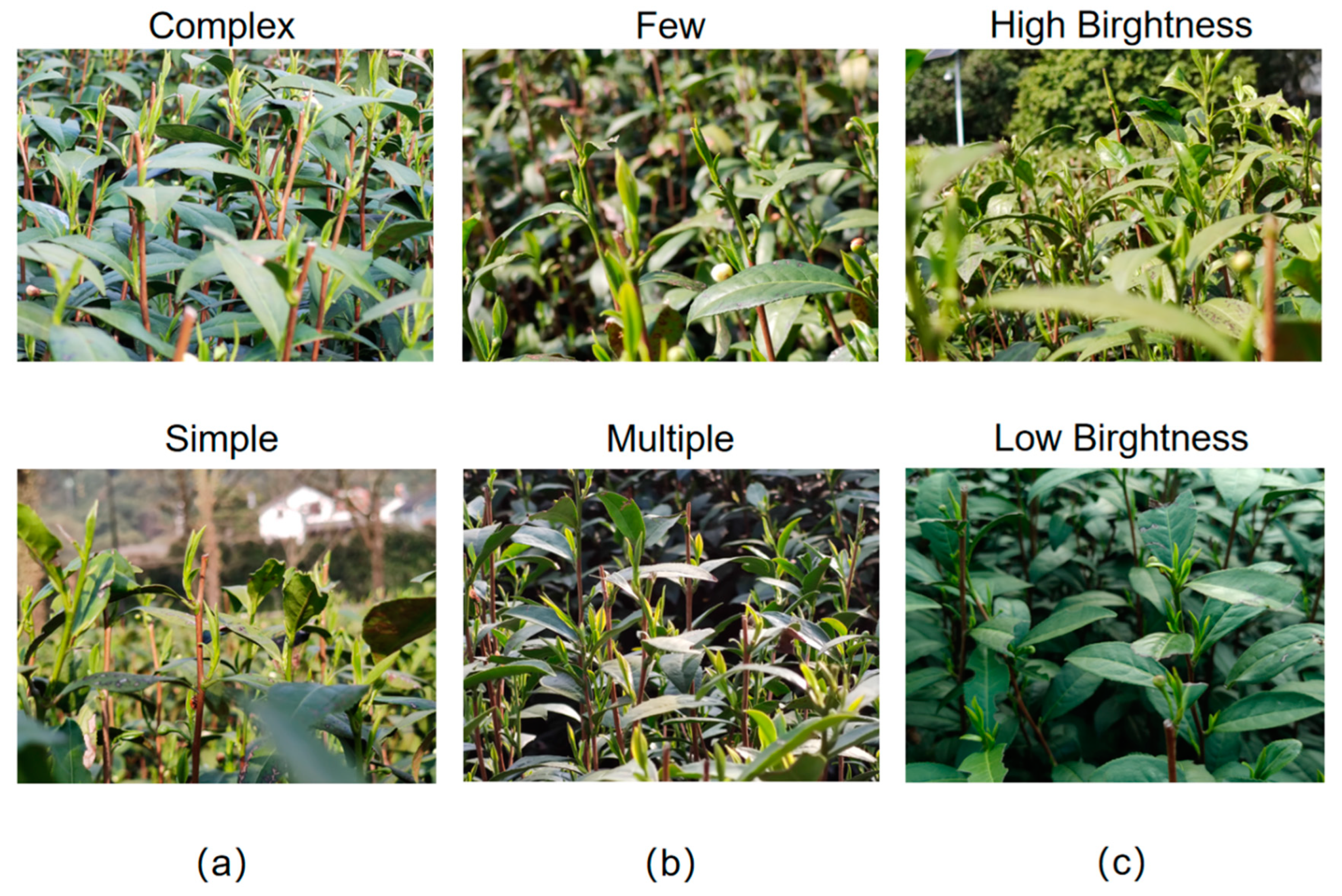 Sustainability 15 06898 g001