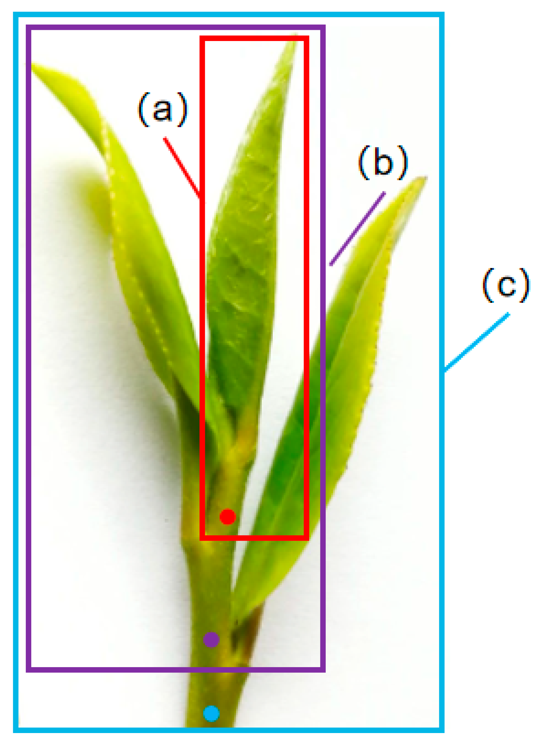 Sustainability 15 06898 g002