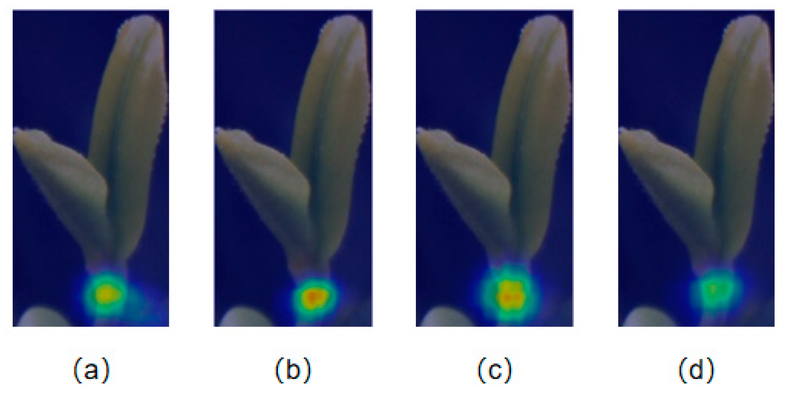 Sustainability 15 06898 g008