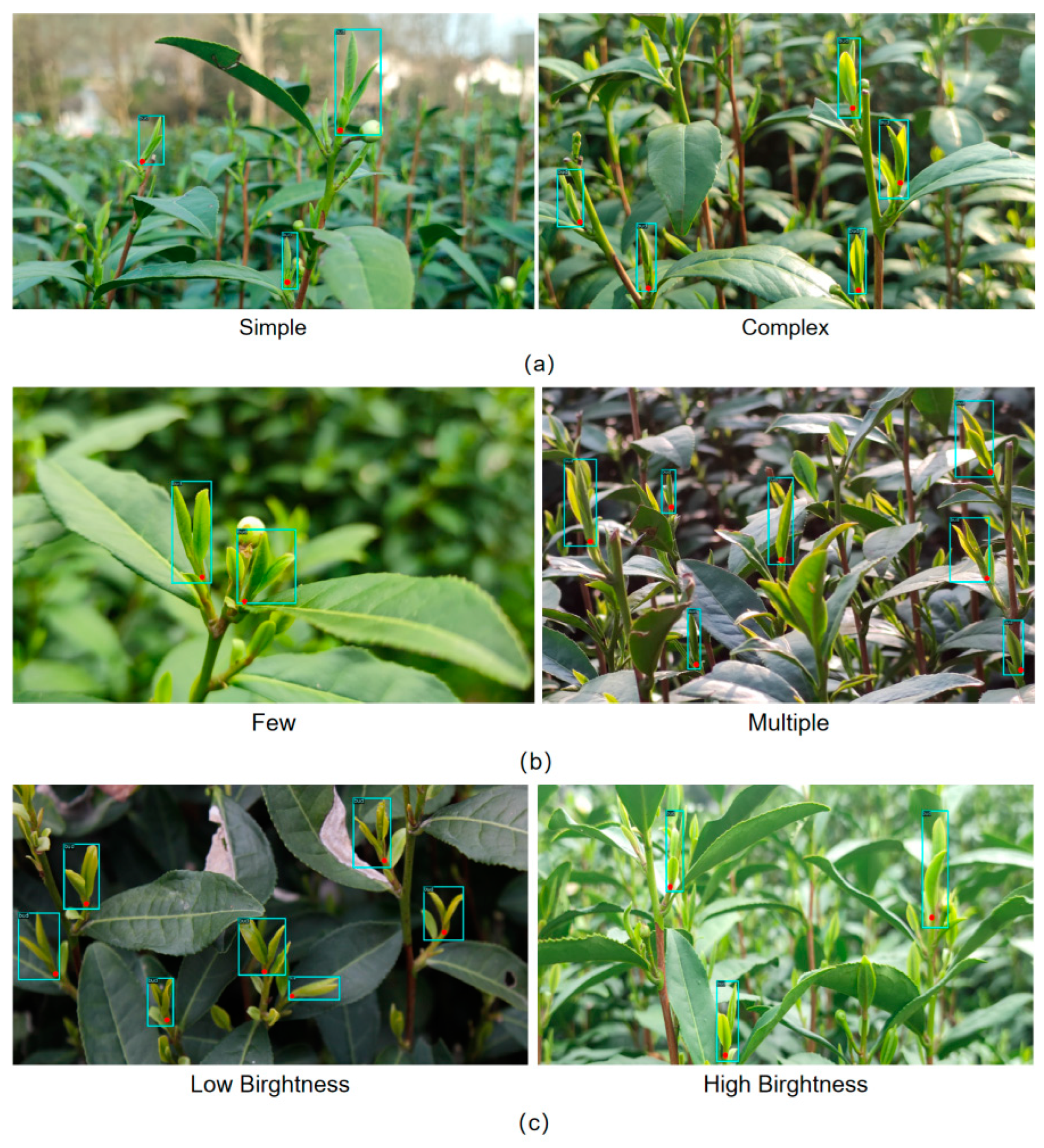 Sustainability 15 06898 g010