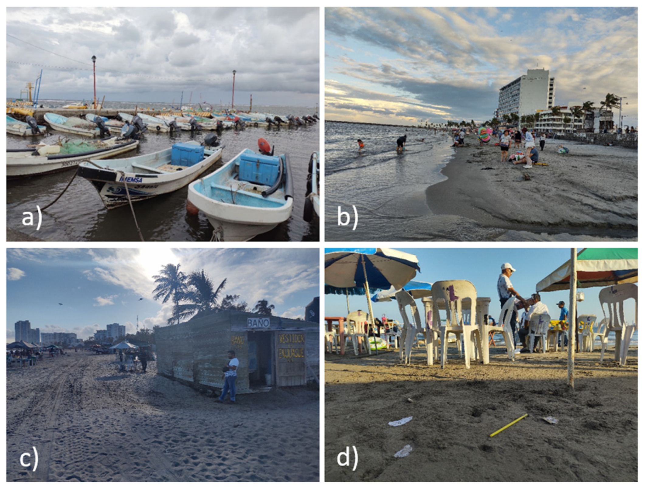 Sustainability 15 06934 g005