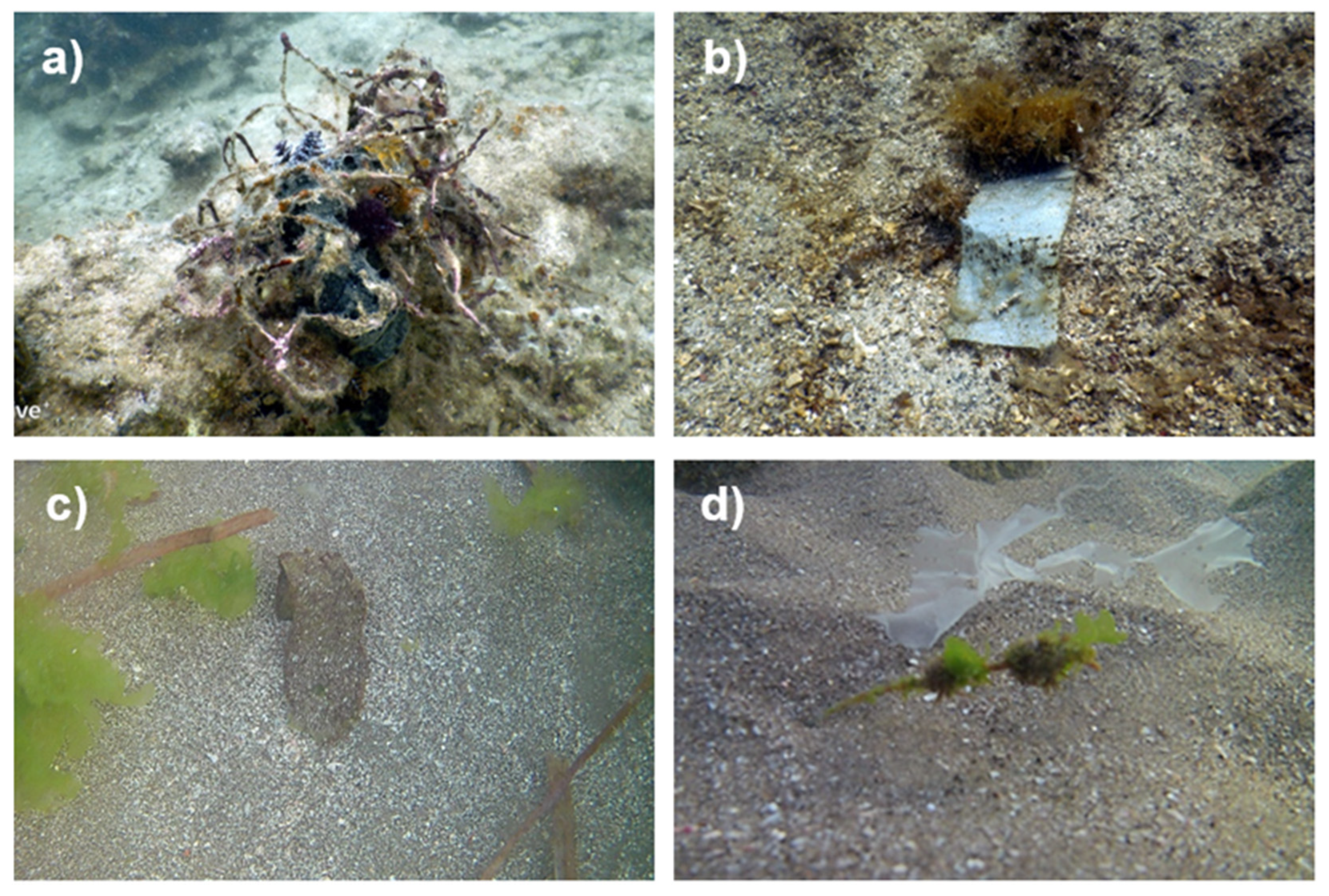 Sustainability 15 06934 g006