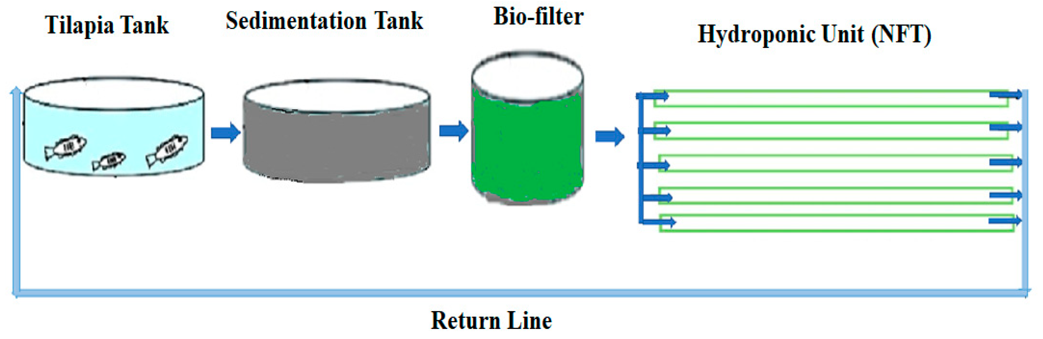 Sustainability Free FullText Effect of Stocking Density on