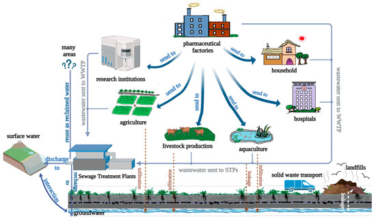 Review on Biogeochemical Characteristics of Typical