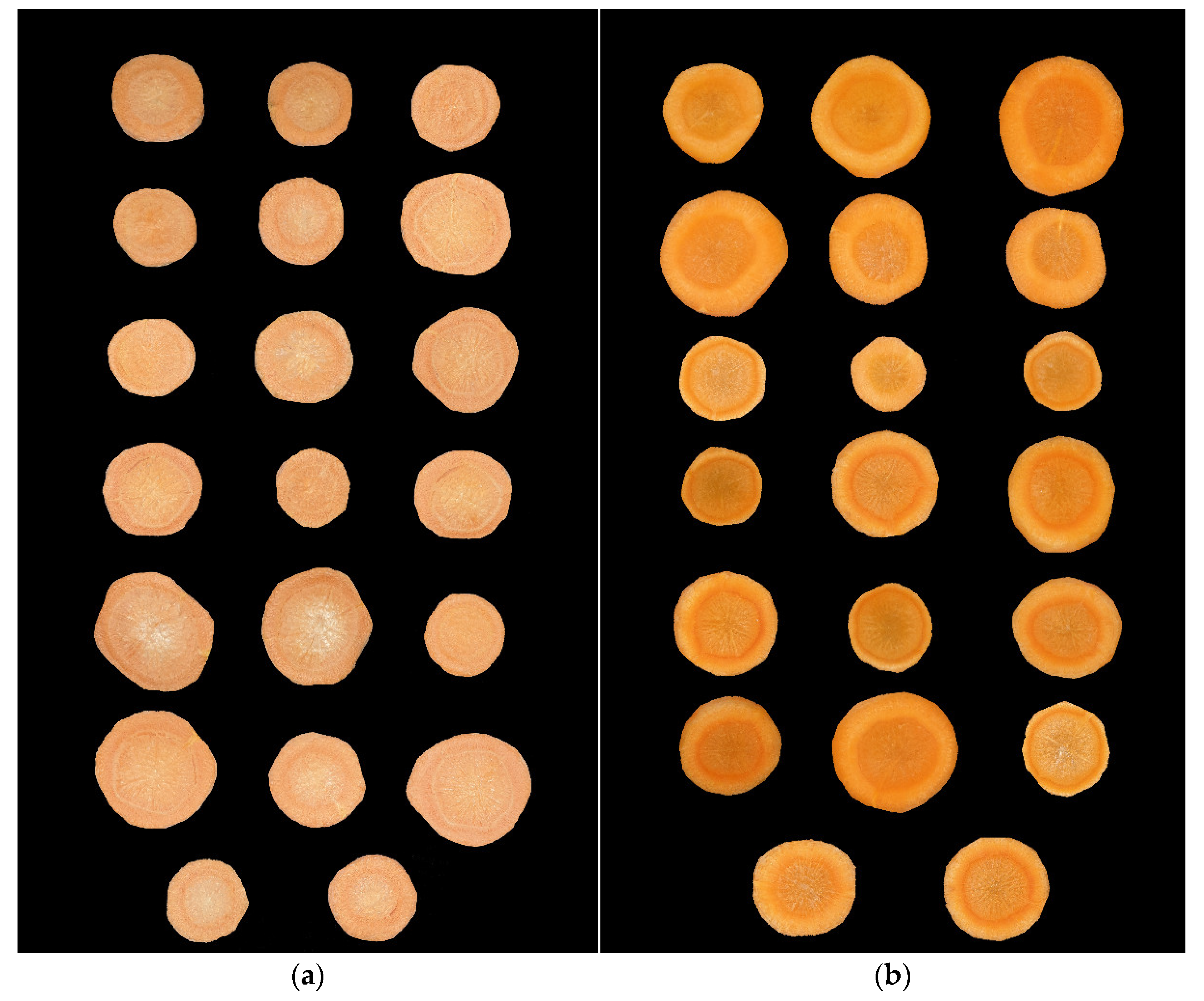 Sustainability 15 07011 g003 Sustainability 15 07011 g003