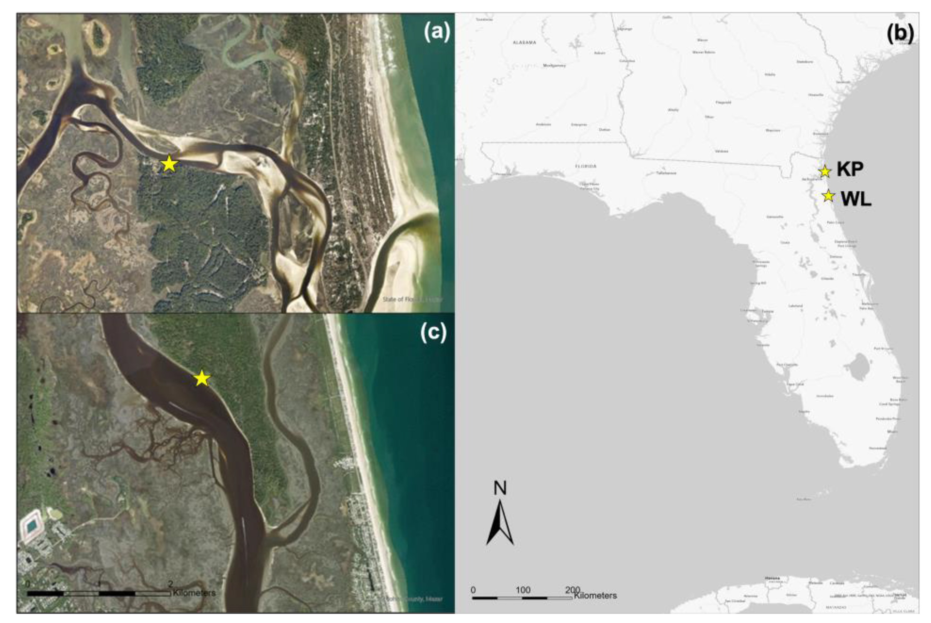 Sustainability 15 07028 g002 Sustainability 15 07028 g002