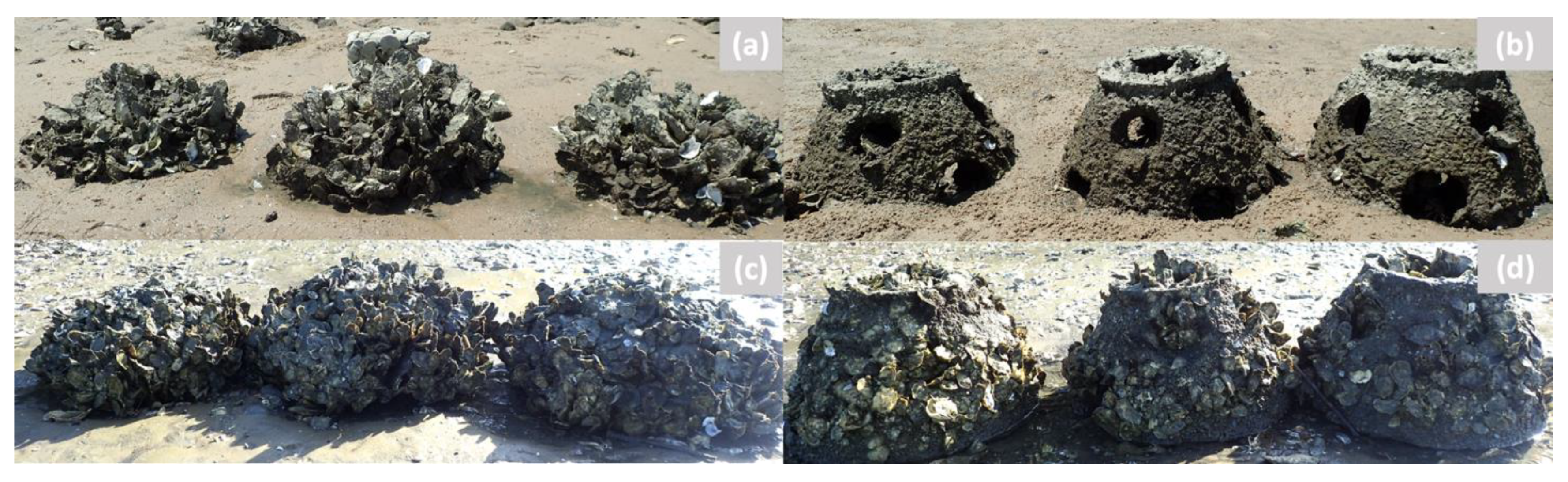 Sustainability 15 07028 g009 Sustainability 15 07028 g009