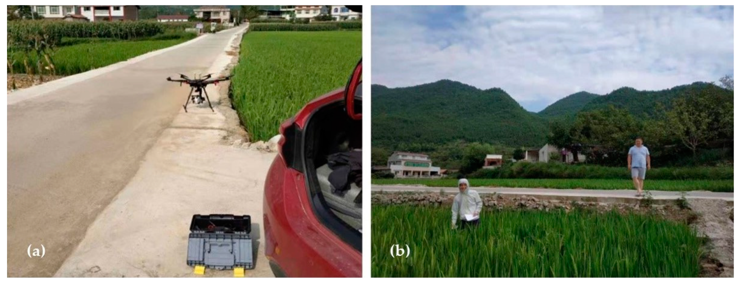 Sustainability 15 07038 g002 Sustainability 15 07038 g002