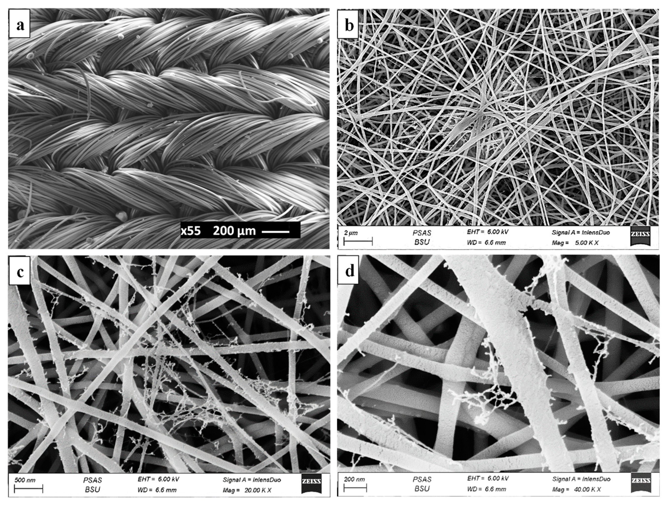 Sustainability 15 07060 g005