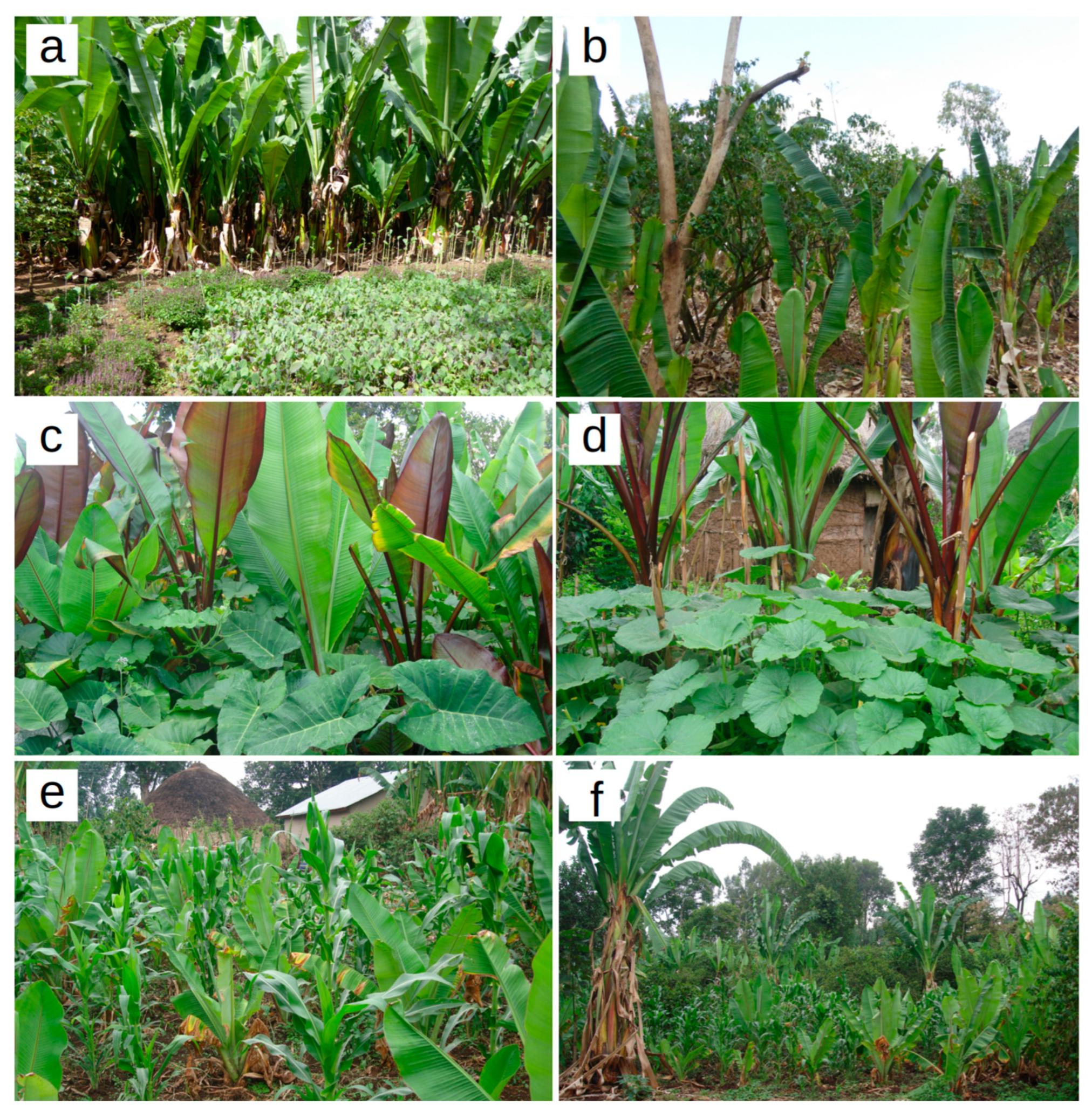 Sustainability 15 07066 g003 Sustainability 15 07066 g003