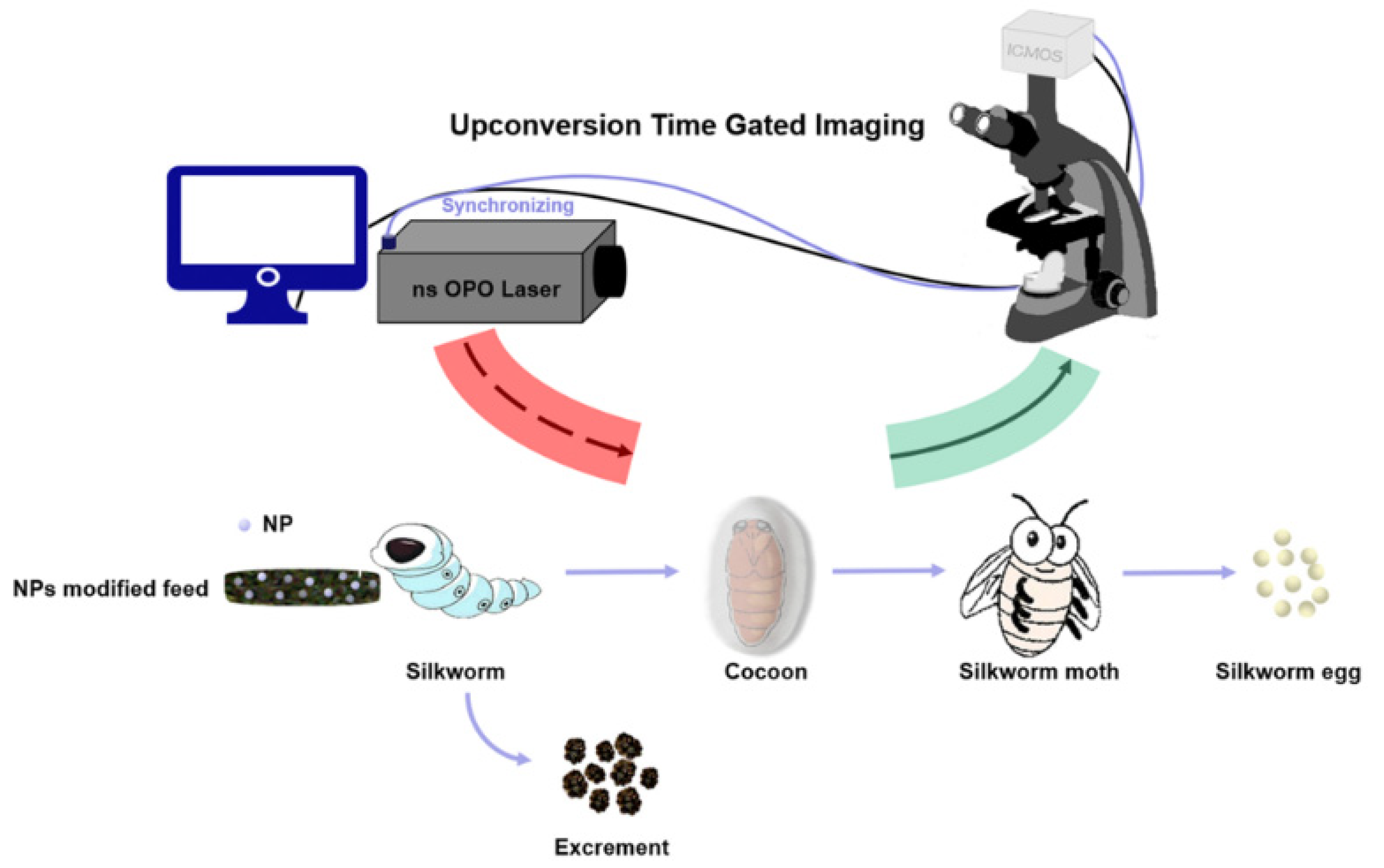 Sustainability 15 07090 g001 Sustainability 15 07090 g001