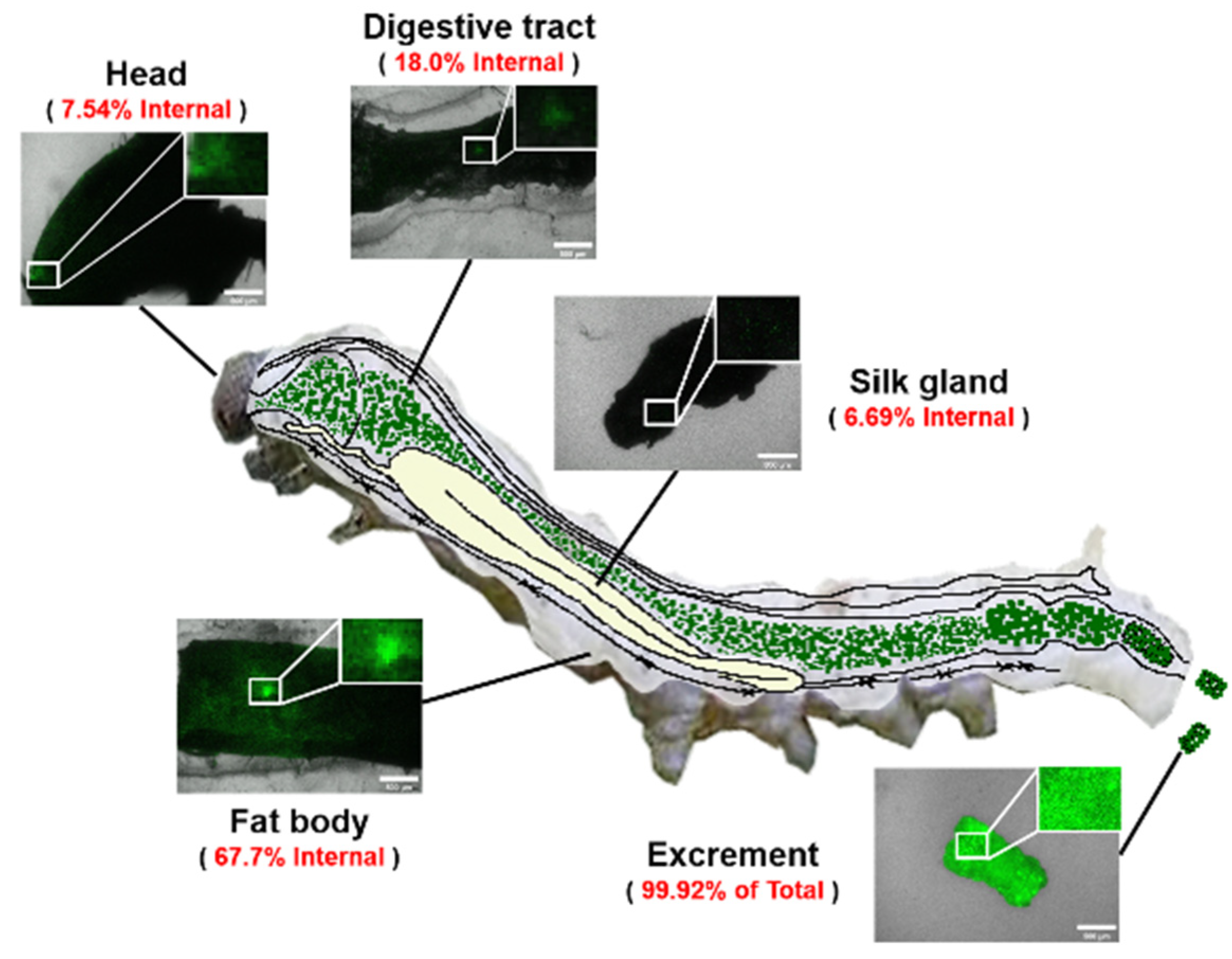 Sustainability 15 07090 g005 Sustainability 15 07090 g005
