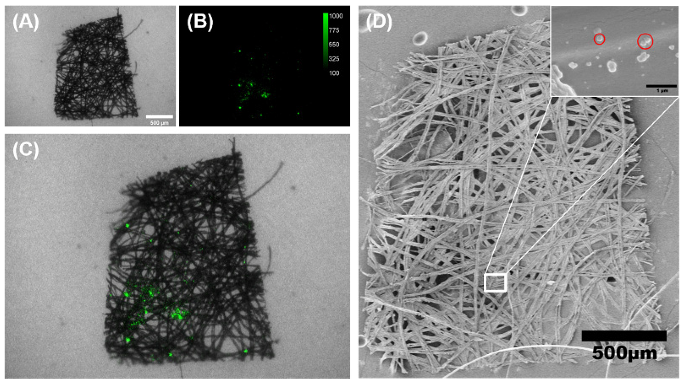 Sustainability 15 07090 g006 Sustainability 15 07090 g006
