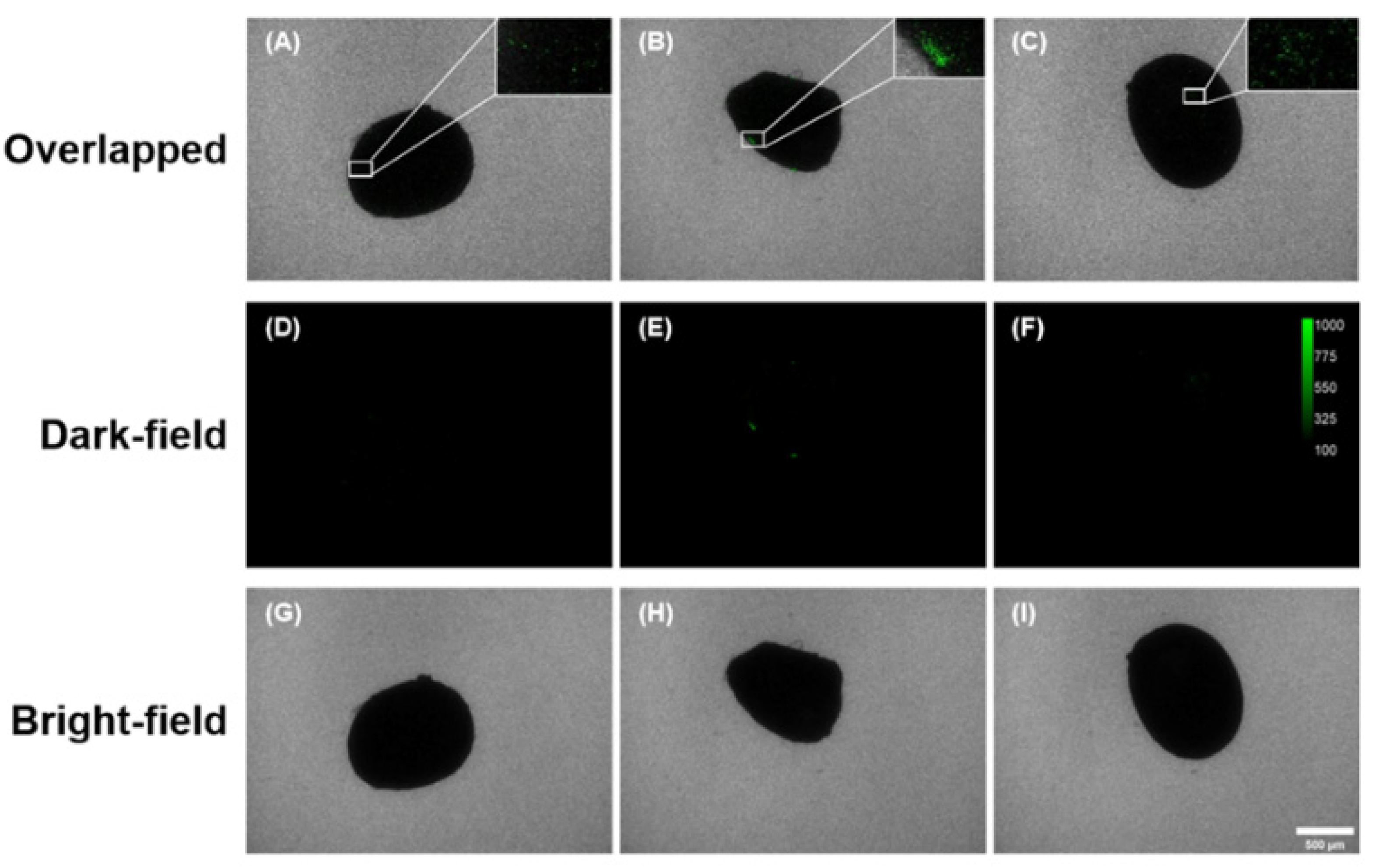 Sustainability 15 07090 g007 Sustainability 15 07090 g007