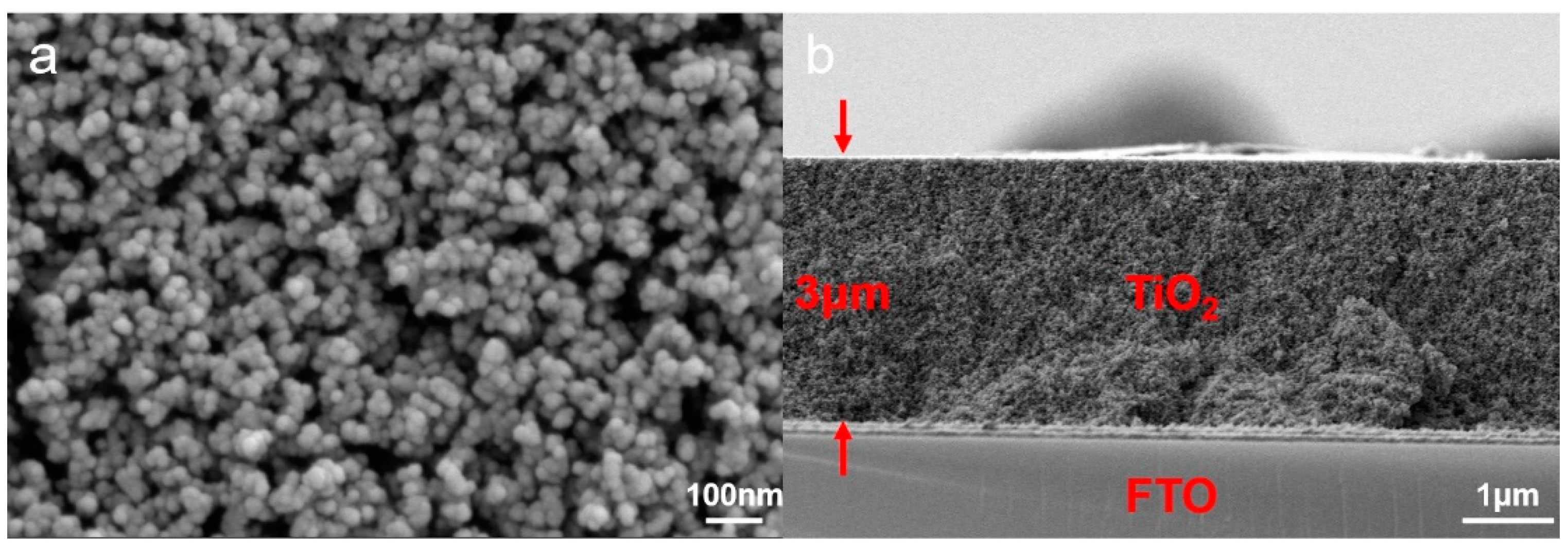 Sustainability 15 07092 g003 Sustainability 15 07092 g003