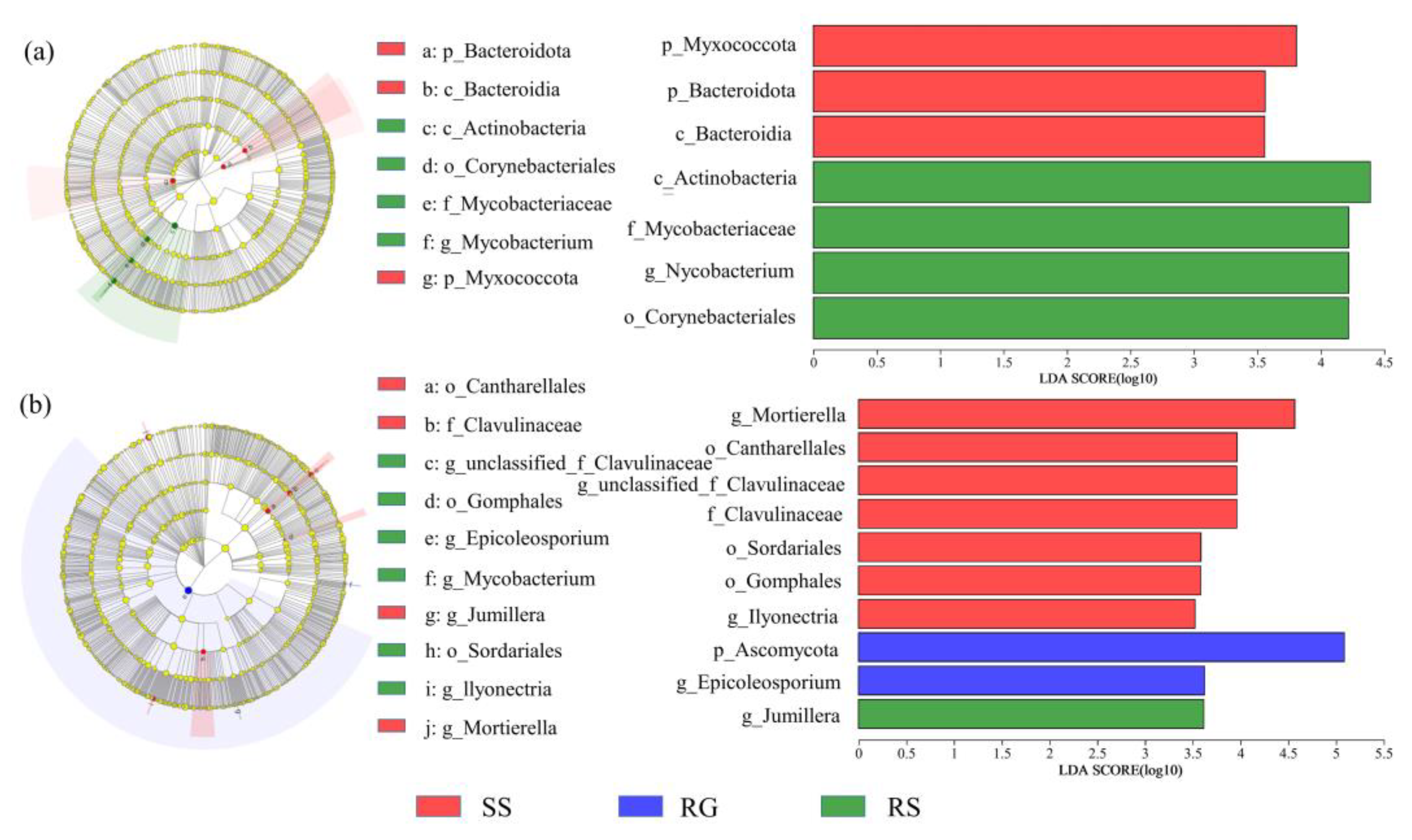 Sustainability 15 07104 g008 Sustainability 15 07104 g008