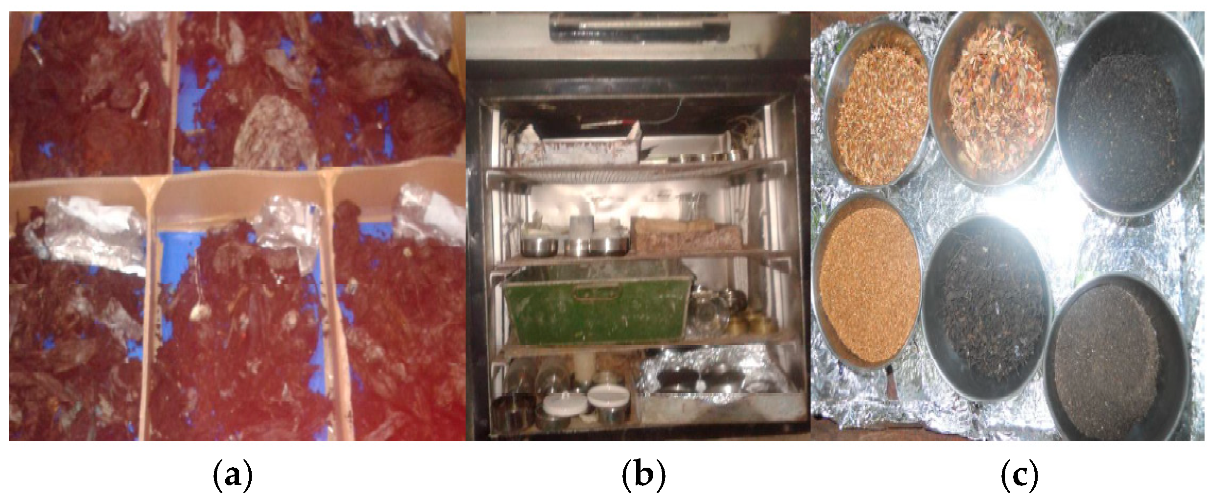 Sustainability 15 07125 g007