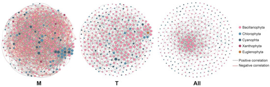 Distribution Patterns and Driving Factors of the Phytoplankton ...