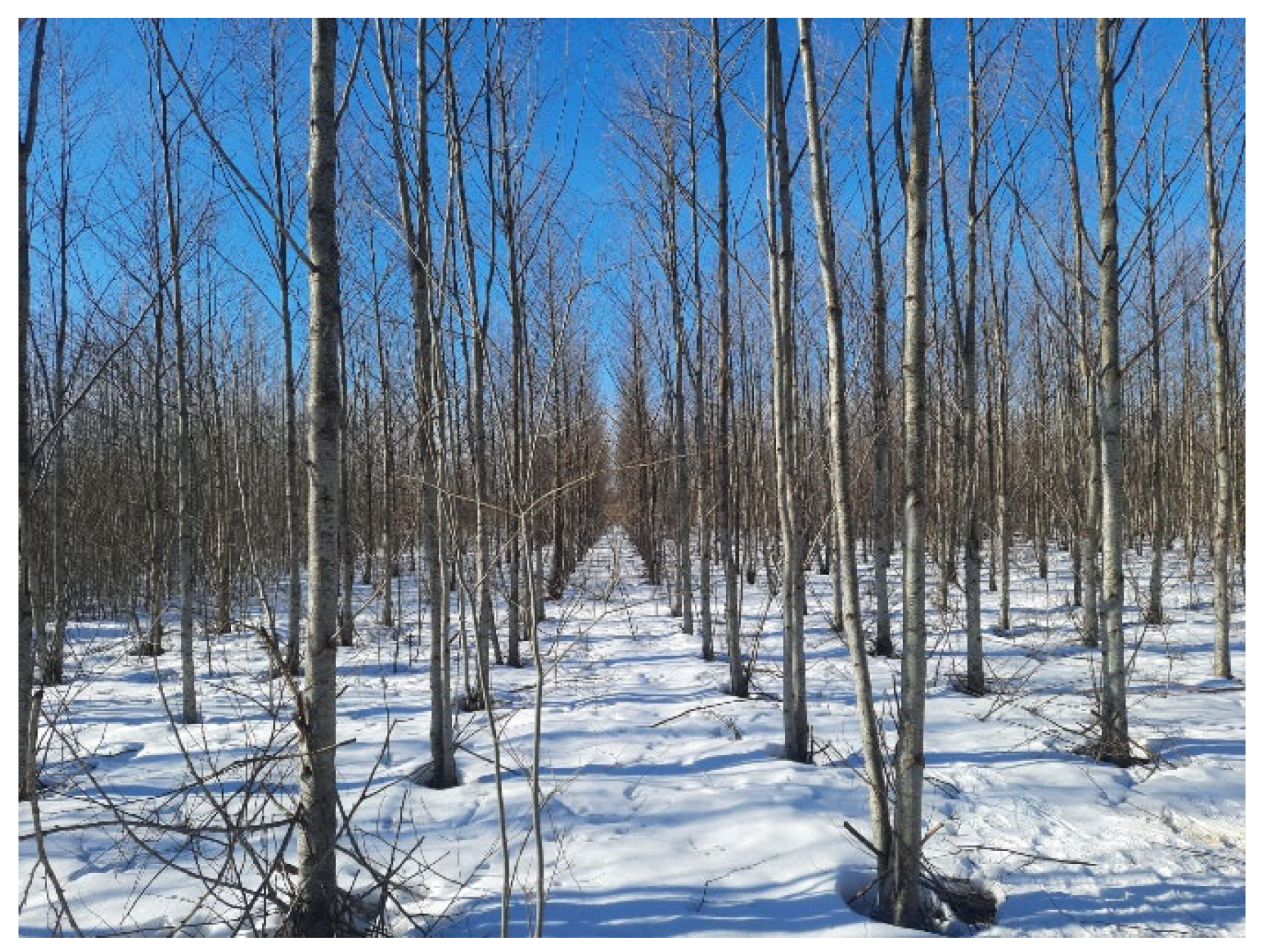 Sustainability 15 07242 g001 Sustainability 15 07242 g001