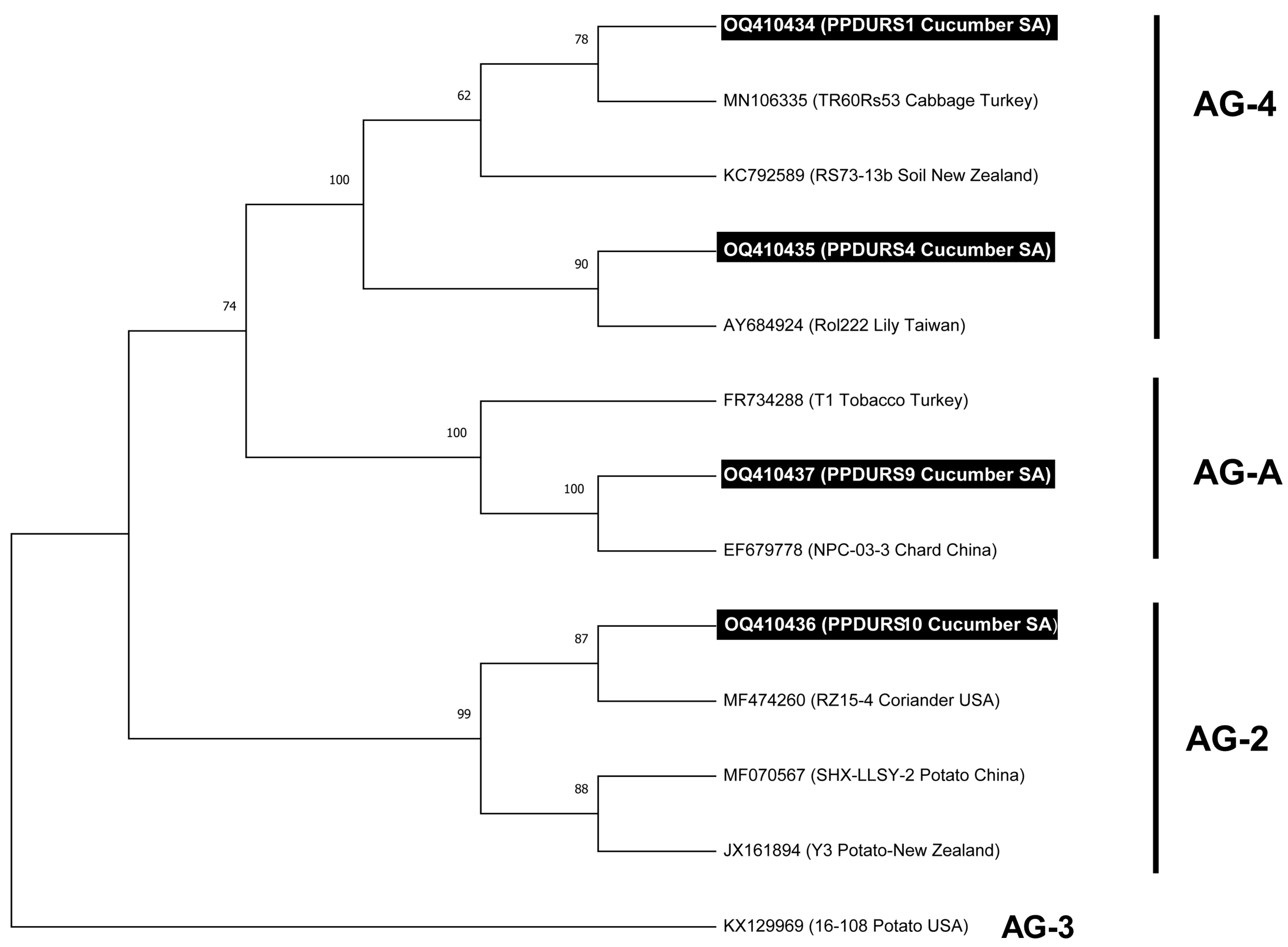 Sustainability 15 07250 g002 Sustainability 15 07250 g002