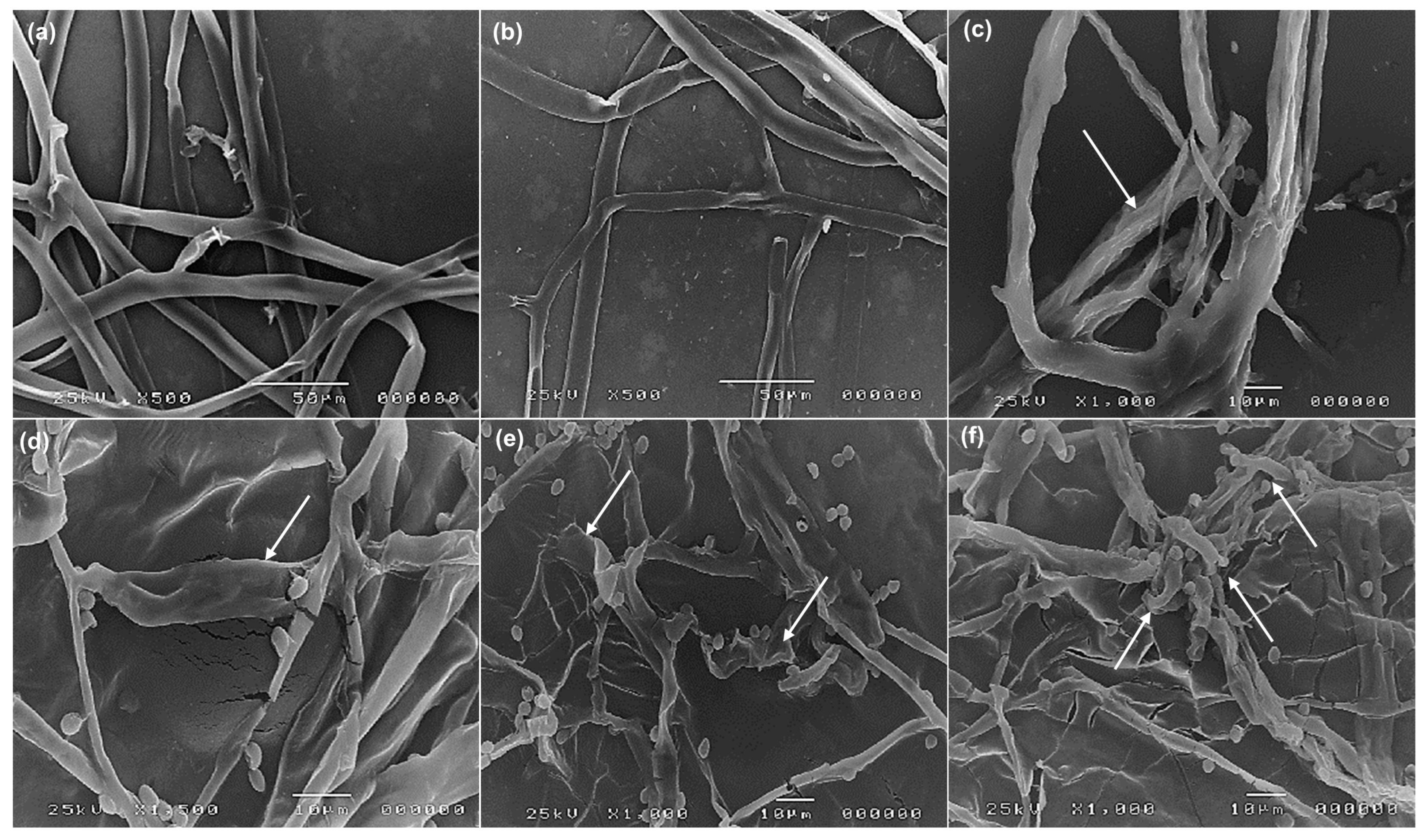 Sustainability 15 07250 g005 Sustainability 15 07250 g005