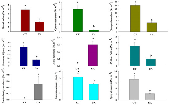 Long-Term Conservation Agriculture Influences Weed Diversity 