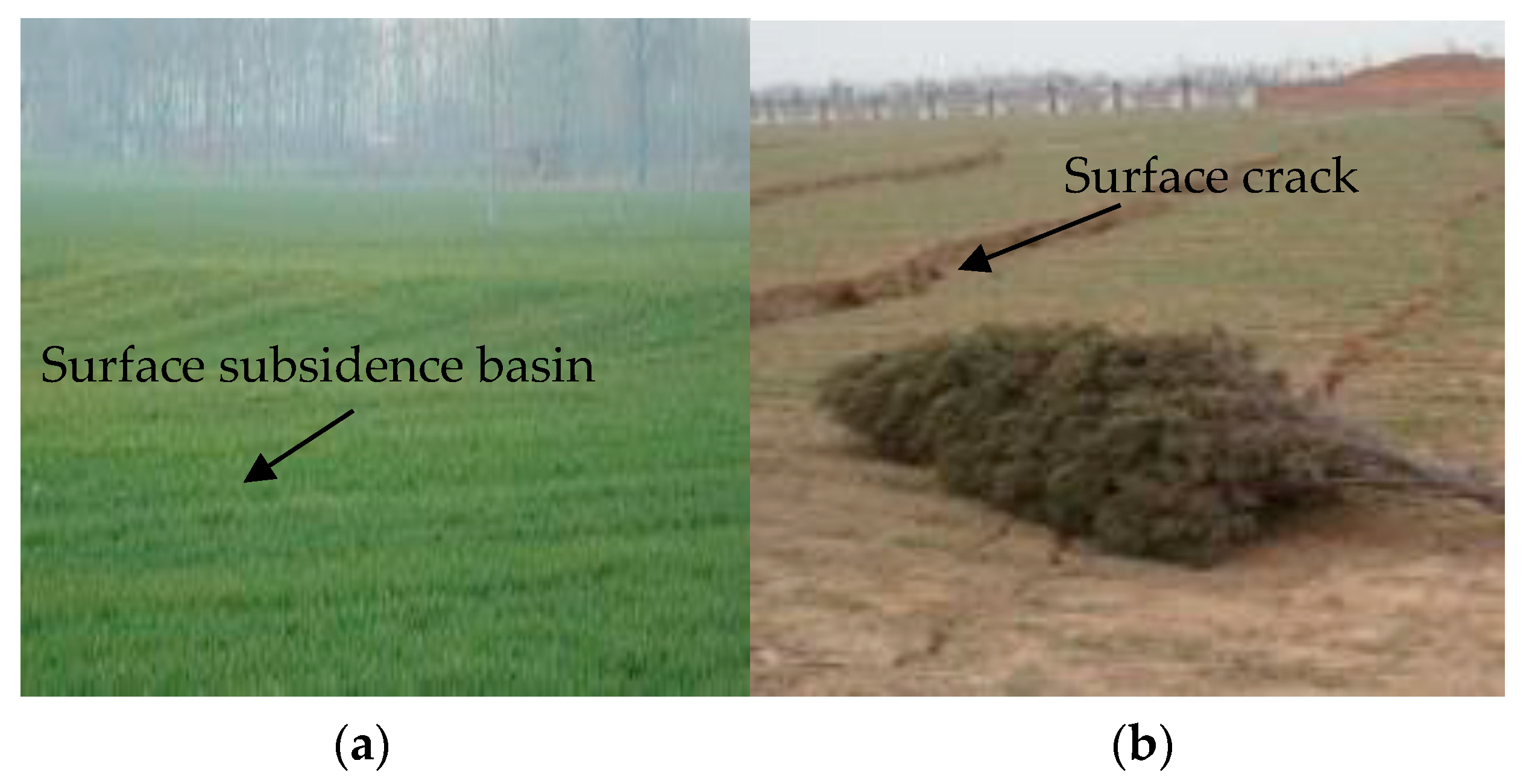 Sustainability 15 07296 g004
