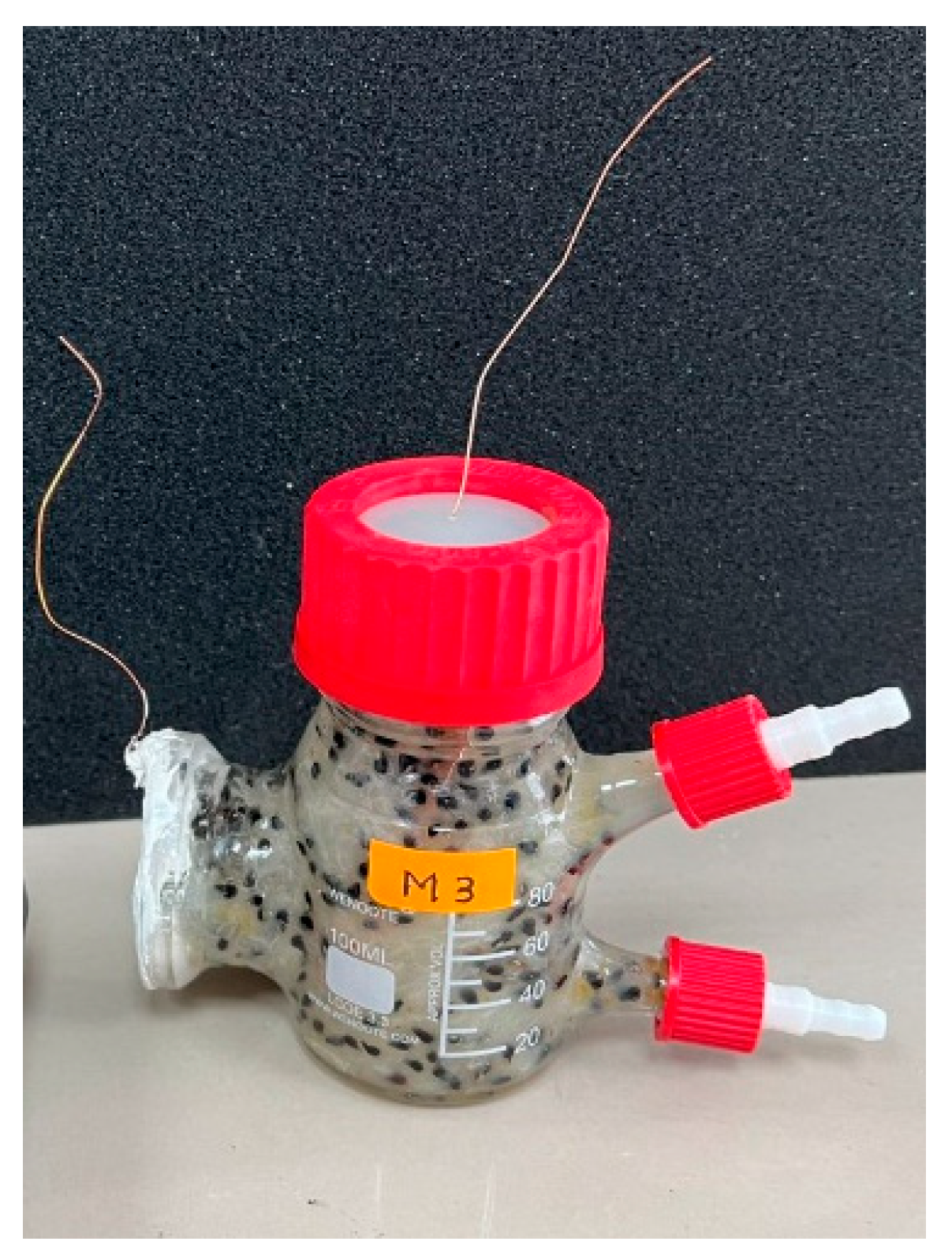 Sustainability 15 07316 g001 Sustainability 15 07316 g001