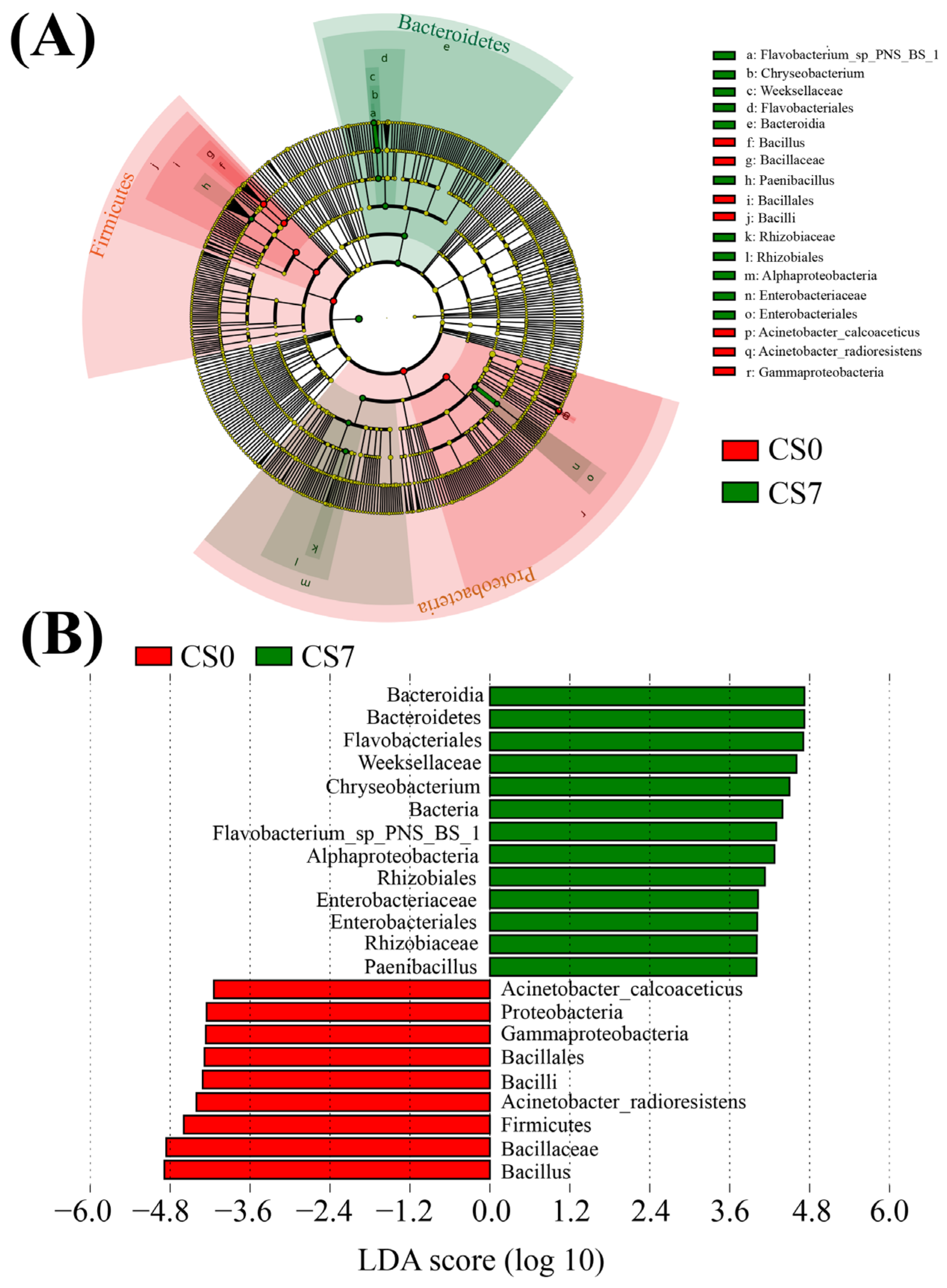 Sustainability 15 07362 g004