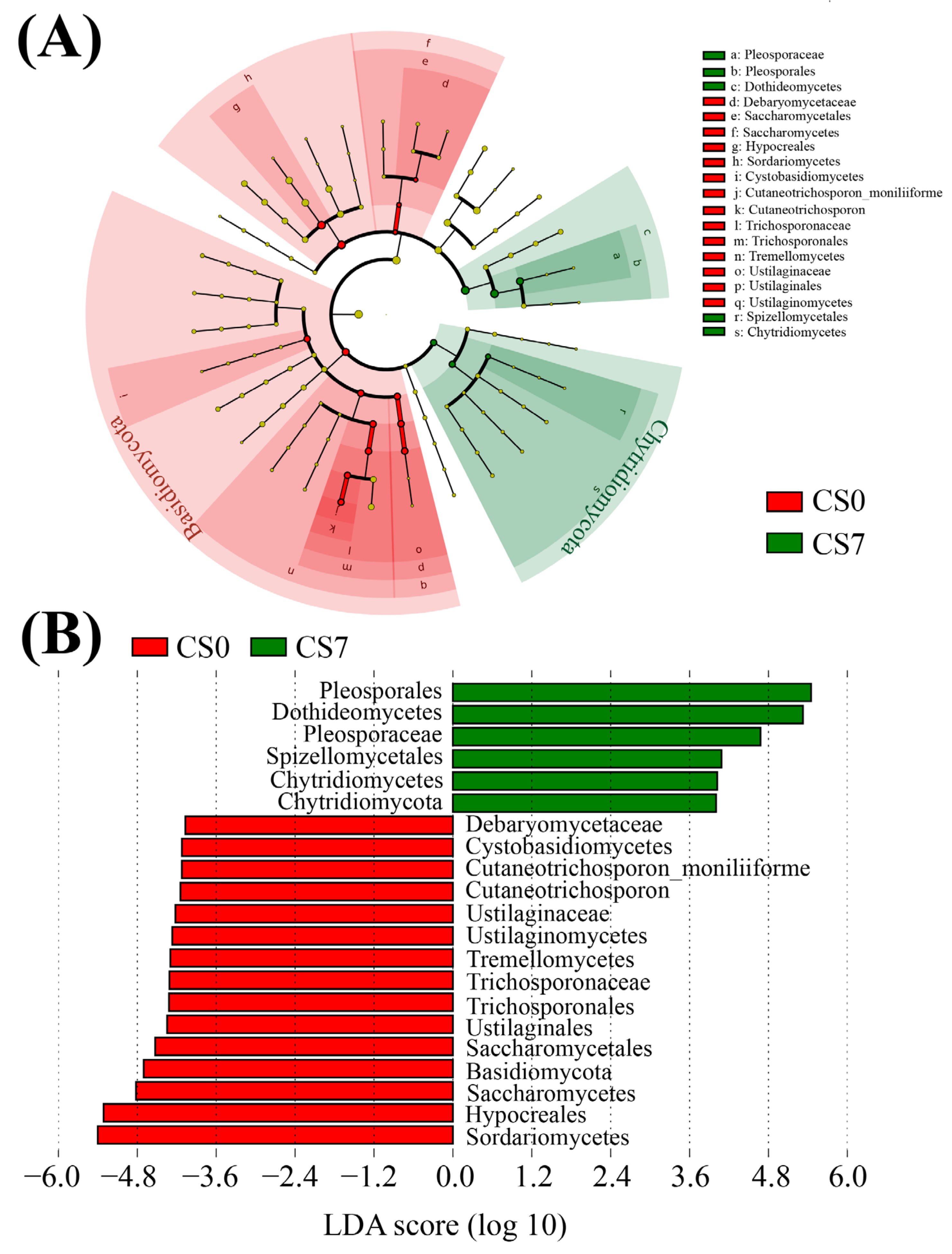 Sustainability 15 07362 g005