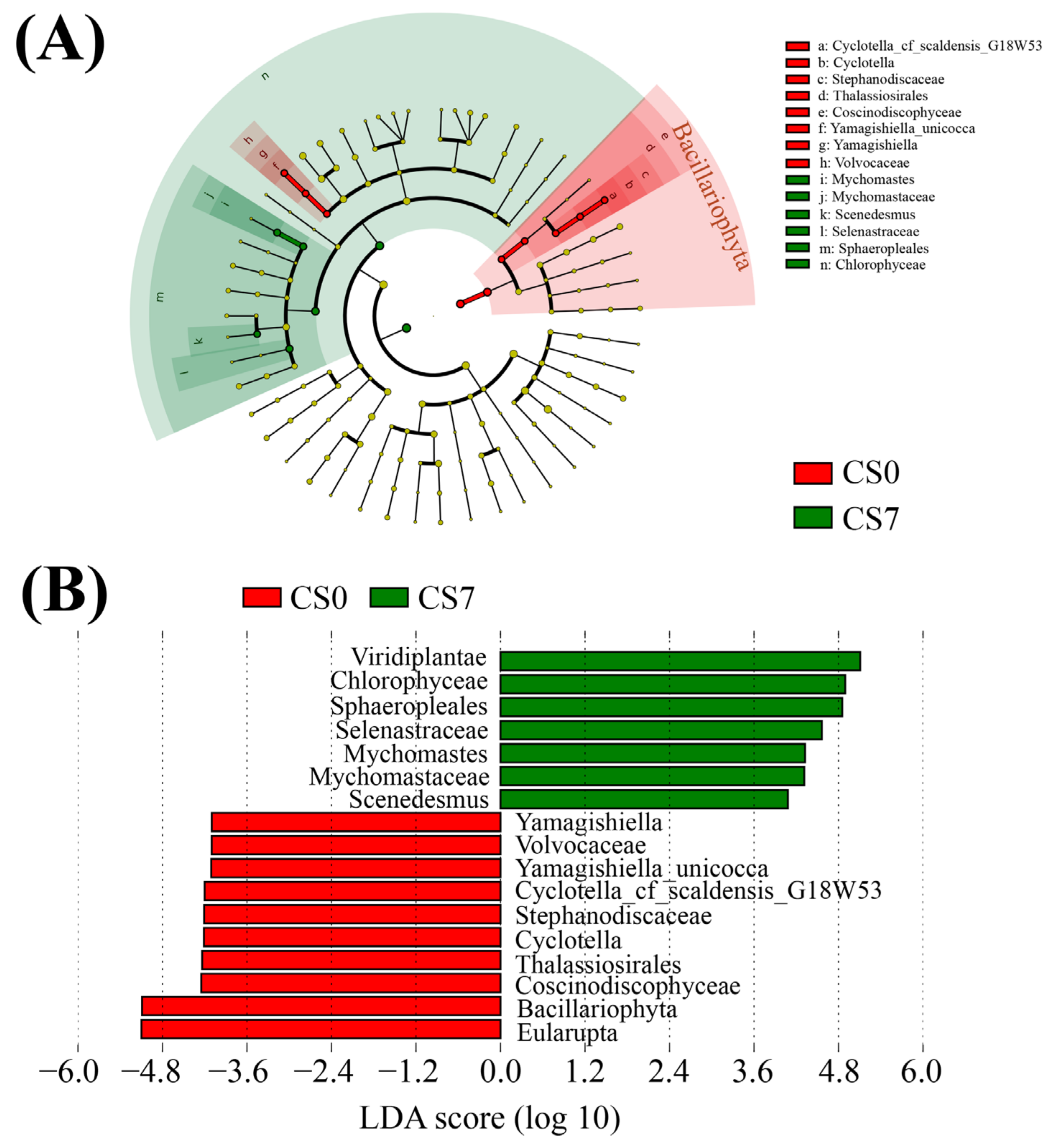 Sustainability 15 07362 g006