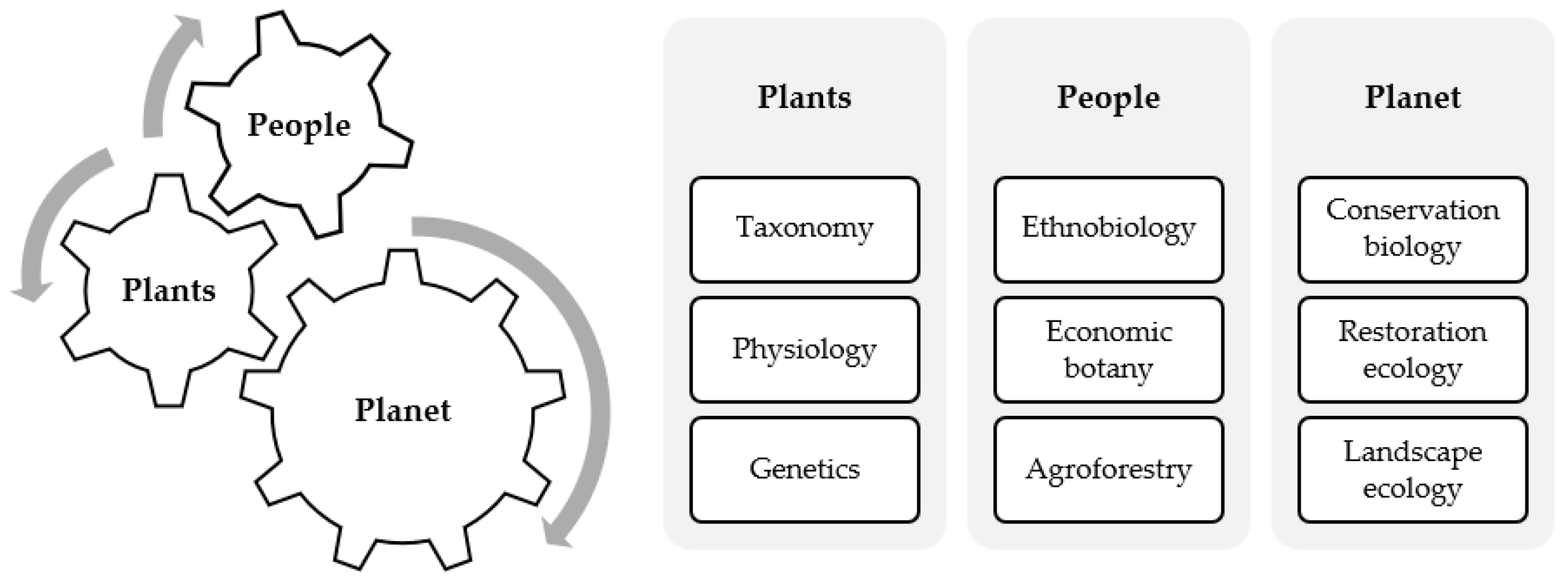 PDF) From Change Agent to Sustainable Scaffolding?