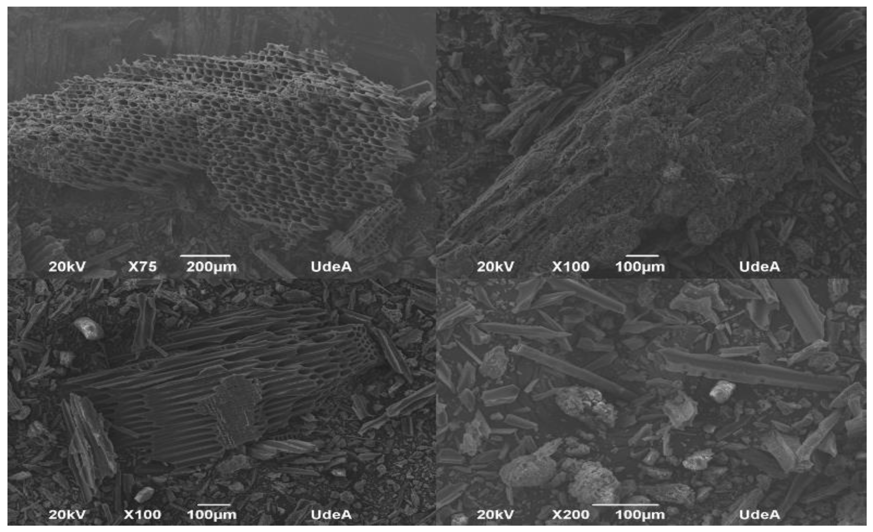 Sustainability 15 07437 g002 Sustainability 15 07437 g002