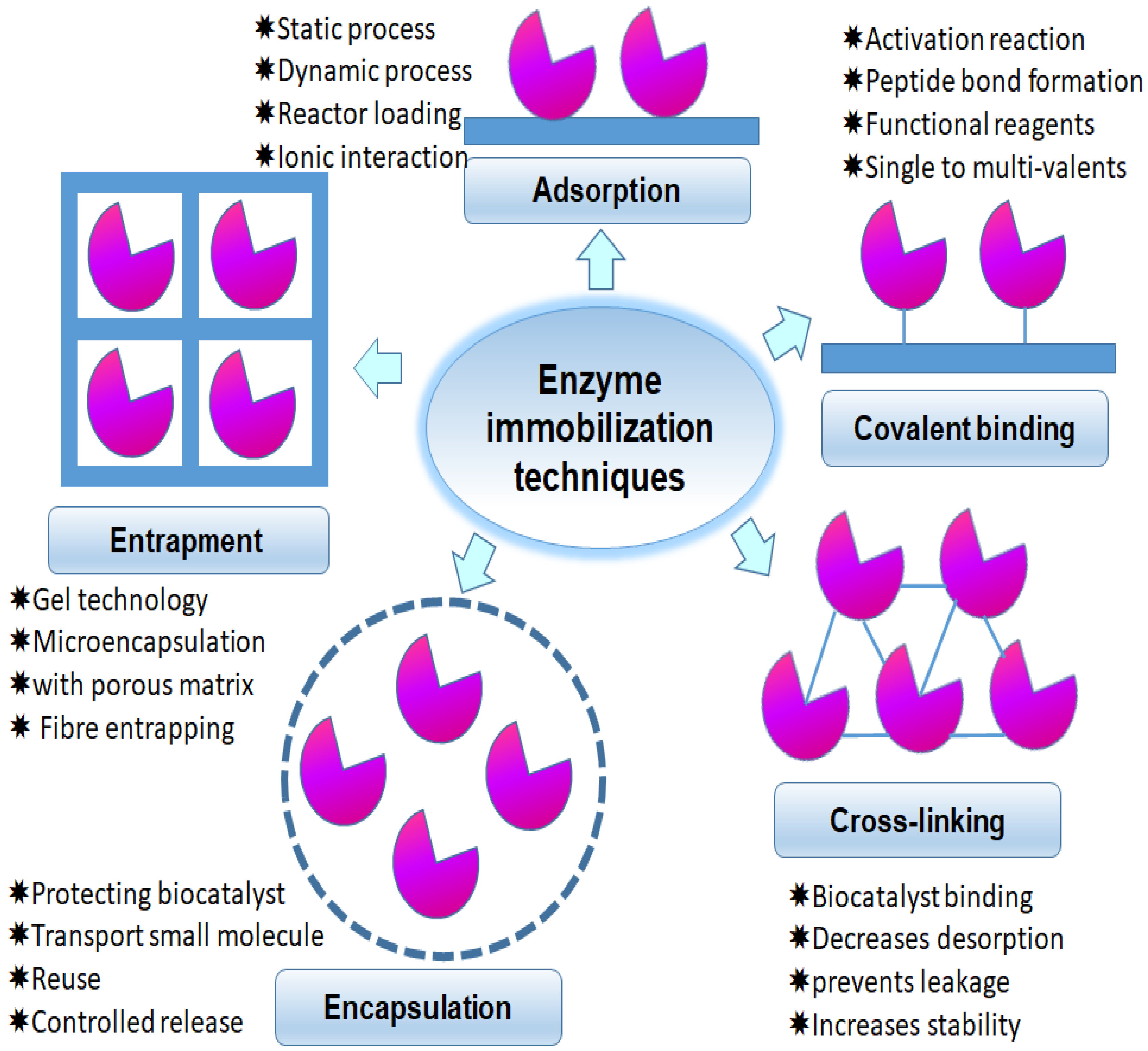 Sustainability Free FullText BioEnzyme Hybrid with Nanomaterials