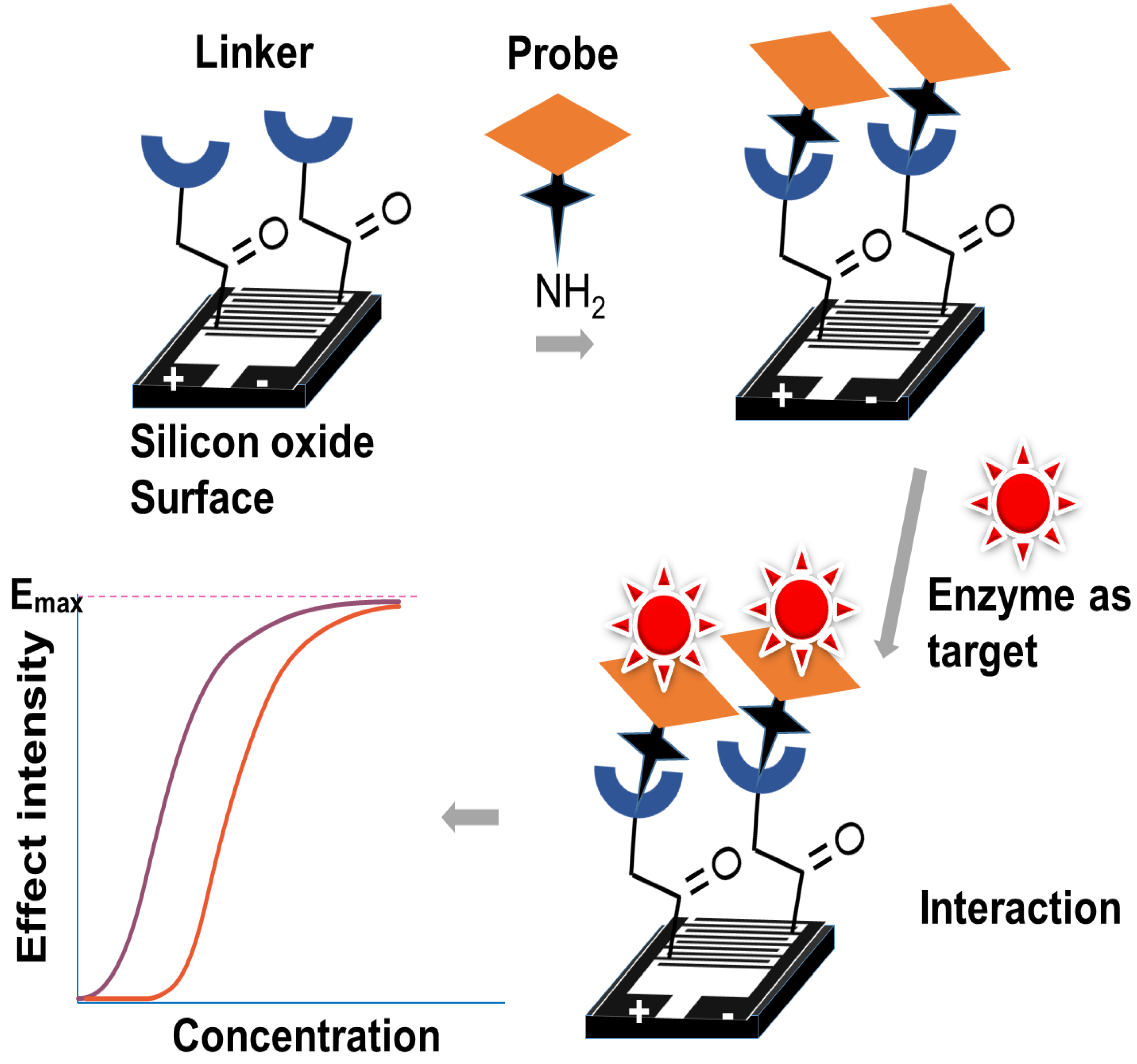 Sustainability 15 07511 g008 Sustainability 15 07511 g008