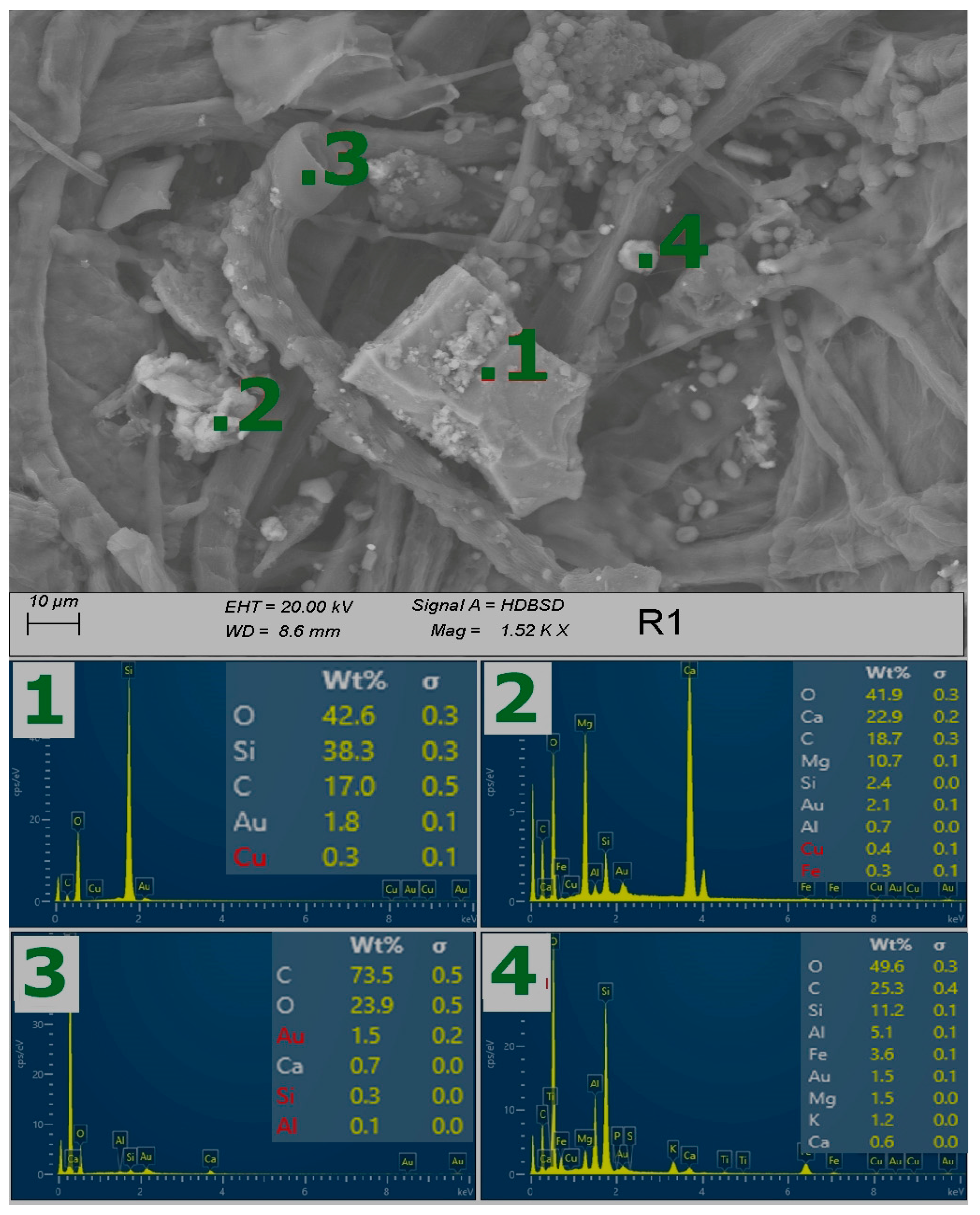 Sustainability 15 07568 g006 Sustainability 15 07568 g006