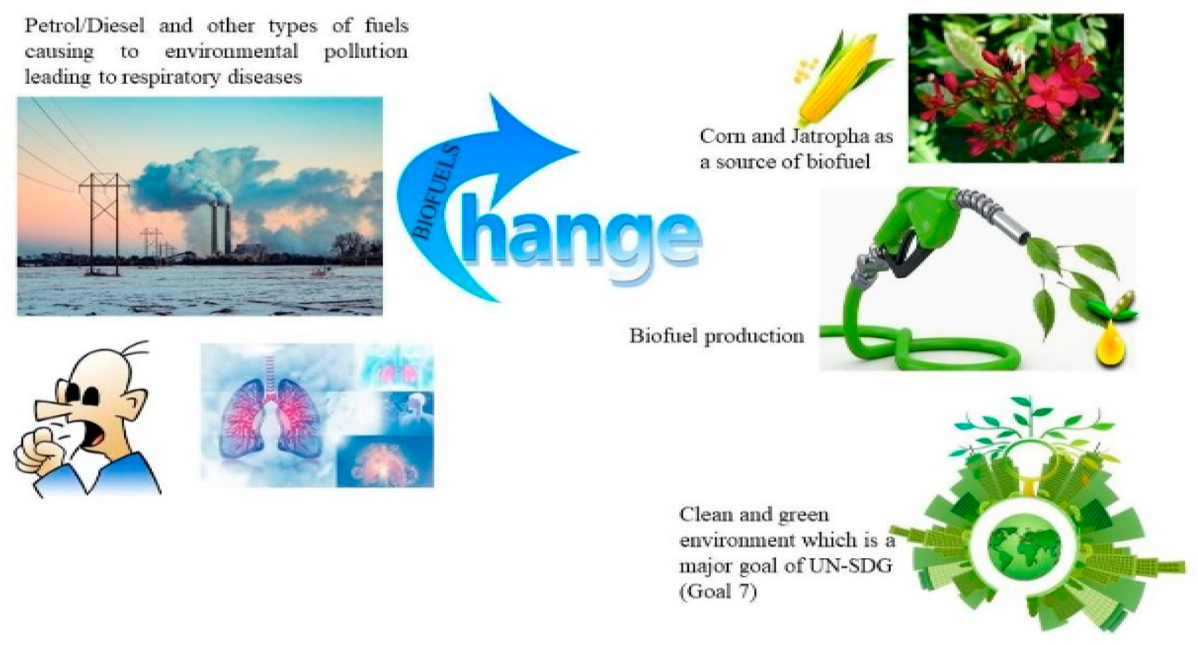 Sustainability 15 07578 g007