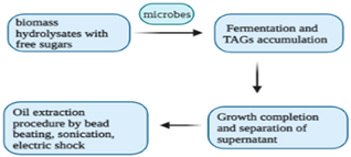 Sustainability 15 07578 i002