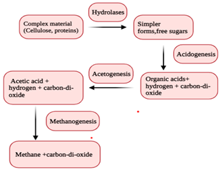 Sustainability 15 07578 i007